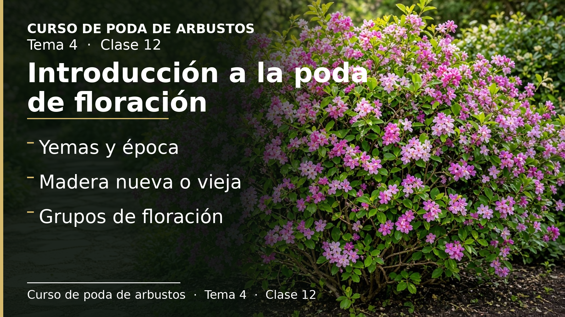 Diapositiva de la clase 12: Introducción a la poda de floración