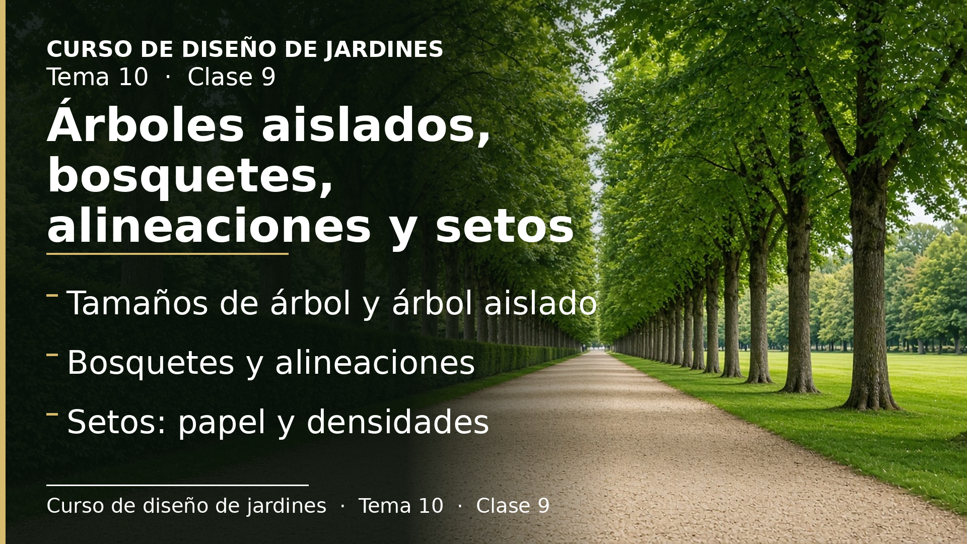 Diapositiva de la clase 9: Árboles aislados, bosquetes, alineaciones y setos