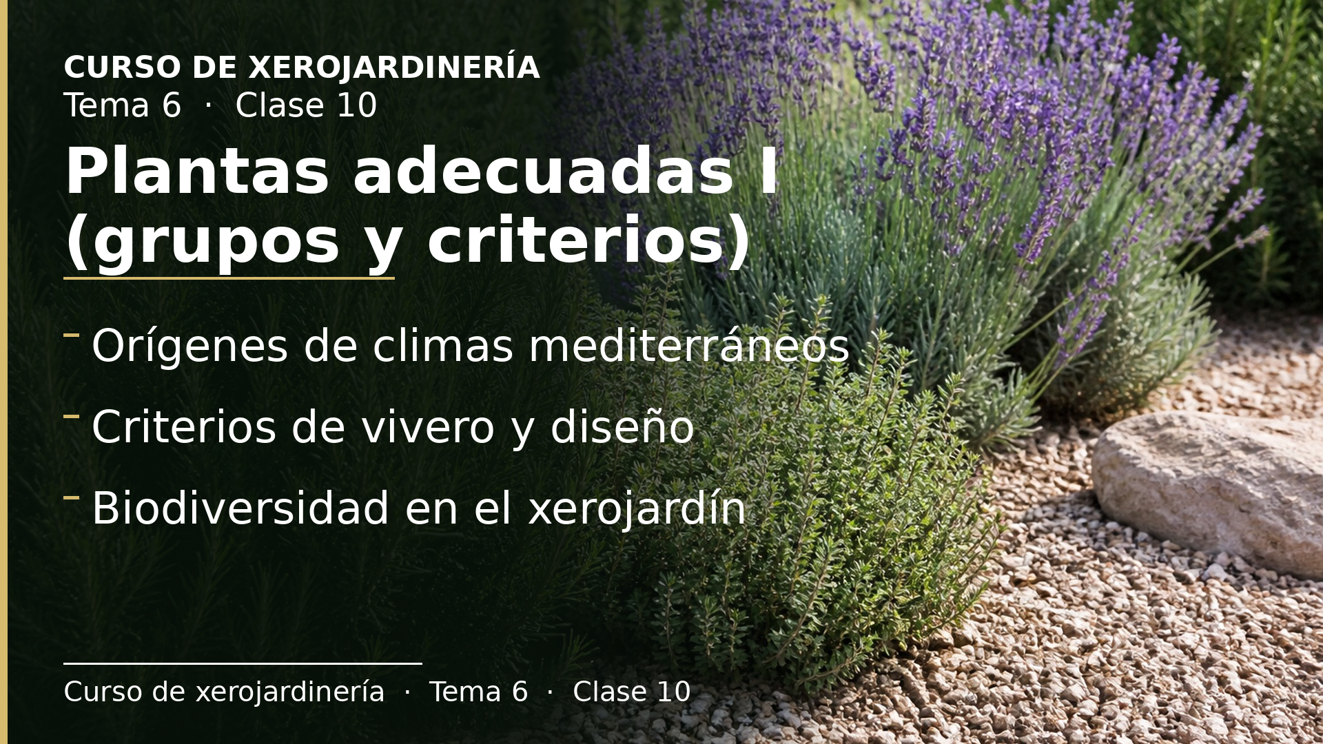 Diapositiva de la clase 10: Plantas adecuadas I (grupos y criterios)