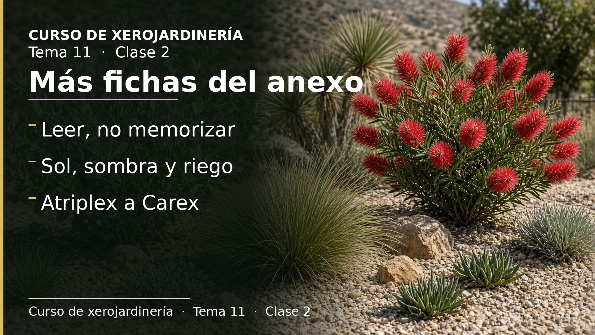 Diapositiva de la clase 2: Más fichas del anexo (Atriplex a Carex)