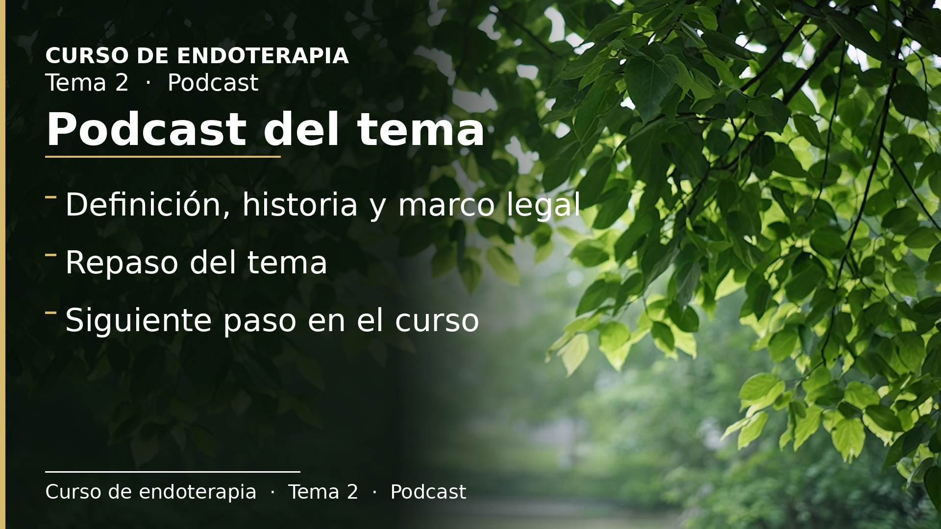 Diapositiva del resumen: Podcast del tema 2 · Definición, historia y marco legal
