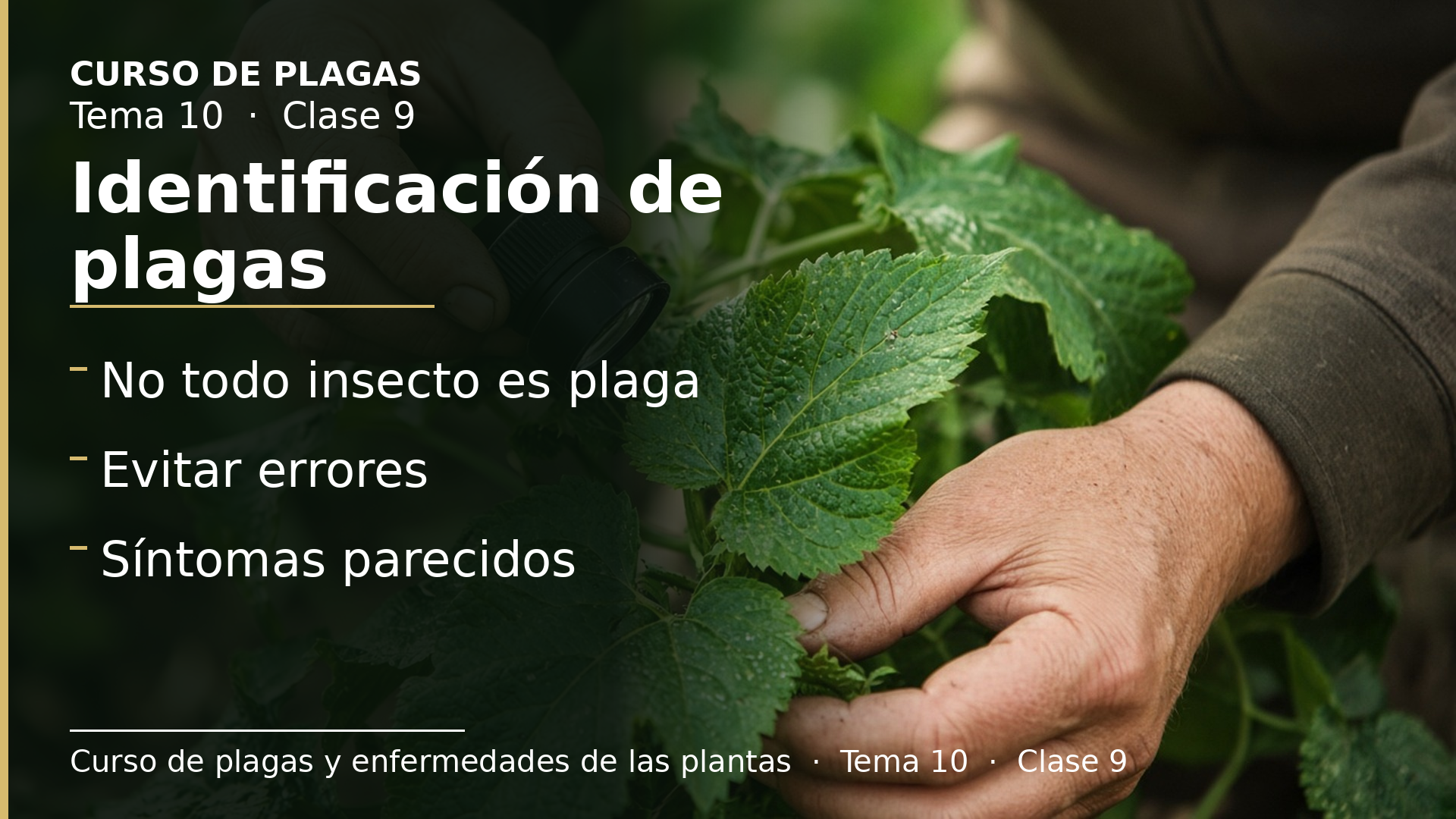 Diapositiva de la clase 9: Identificación de plagas en GIP