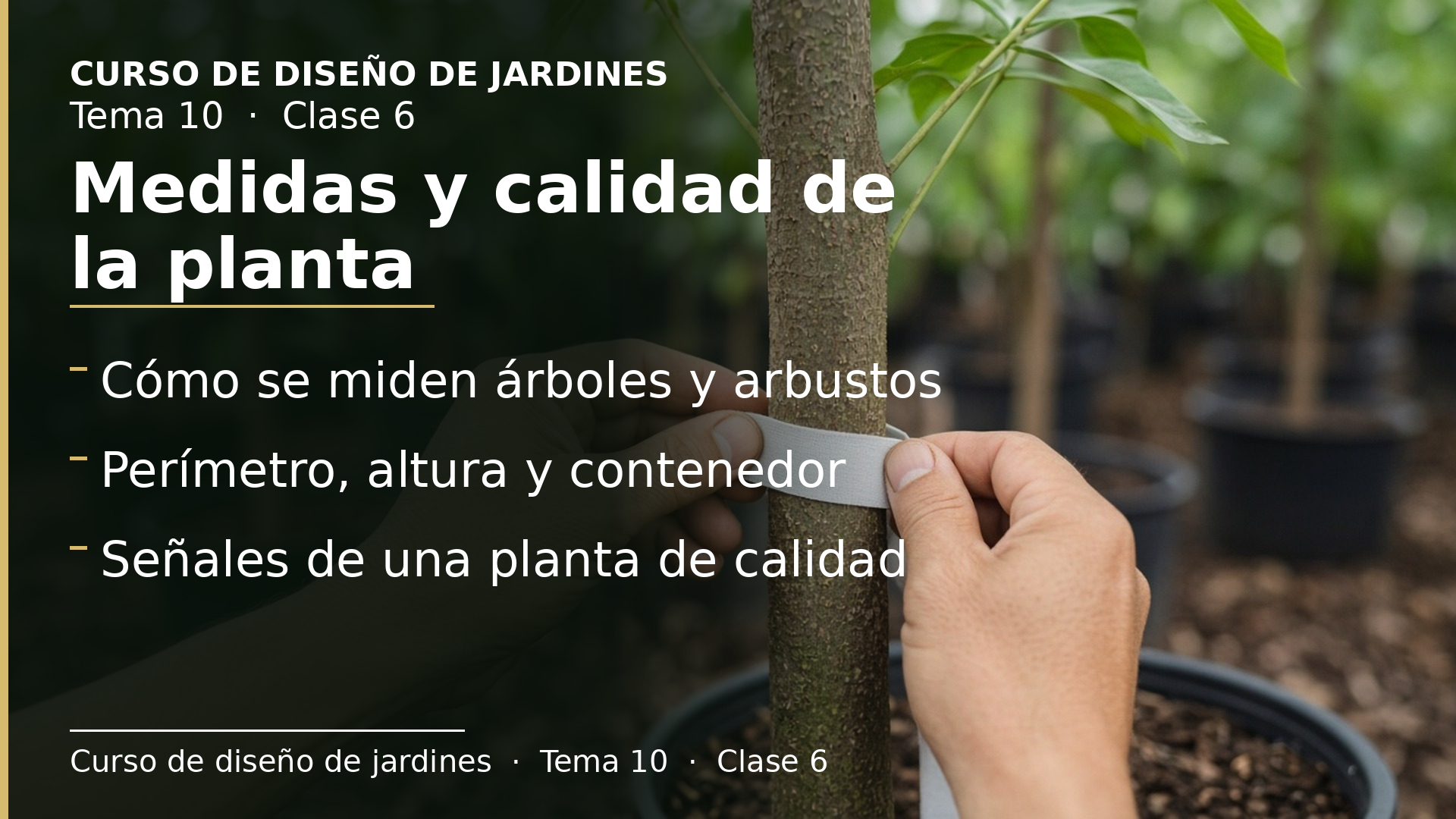 Diapositiva de la clase 6: Cómo se miden las plantas y cómo reconocer una planta de calidad