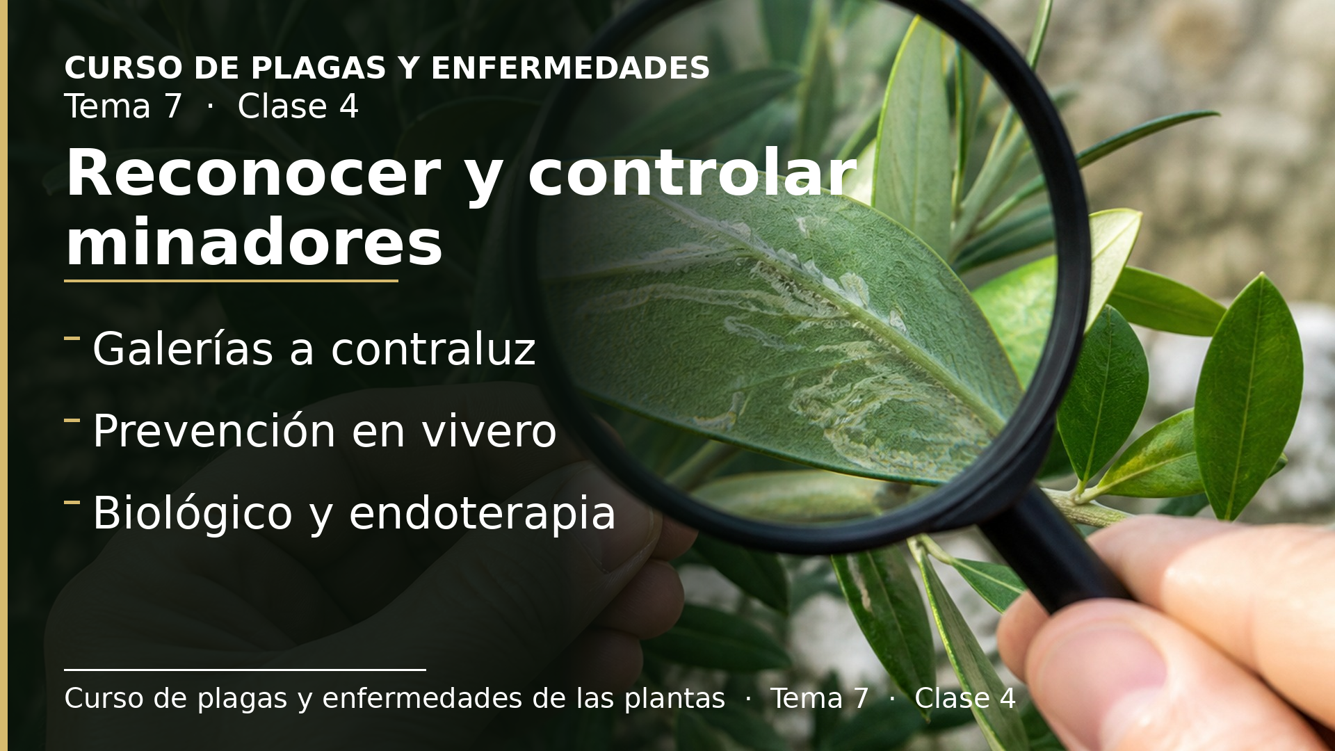 Diapositiva de la clase 4: Cómo reconocer y controlar minadores