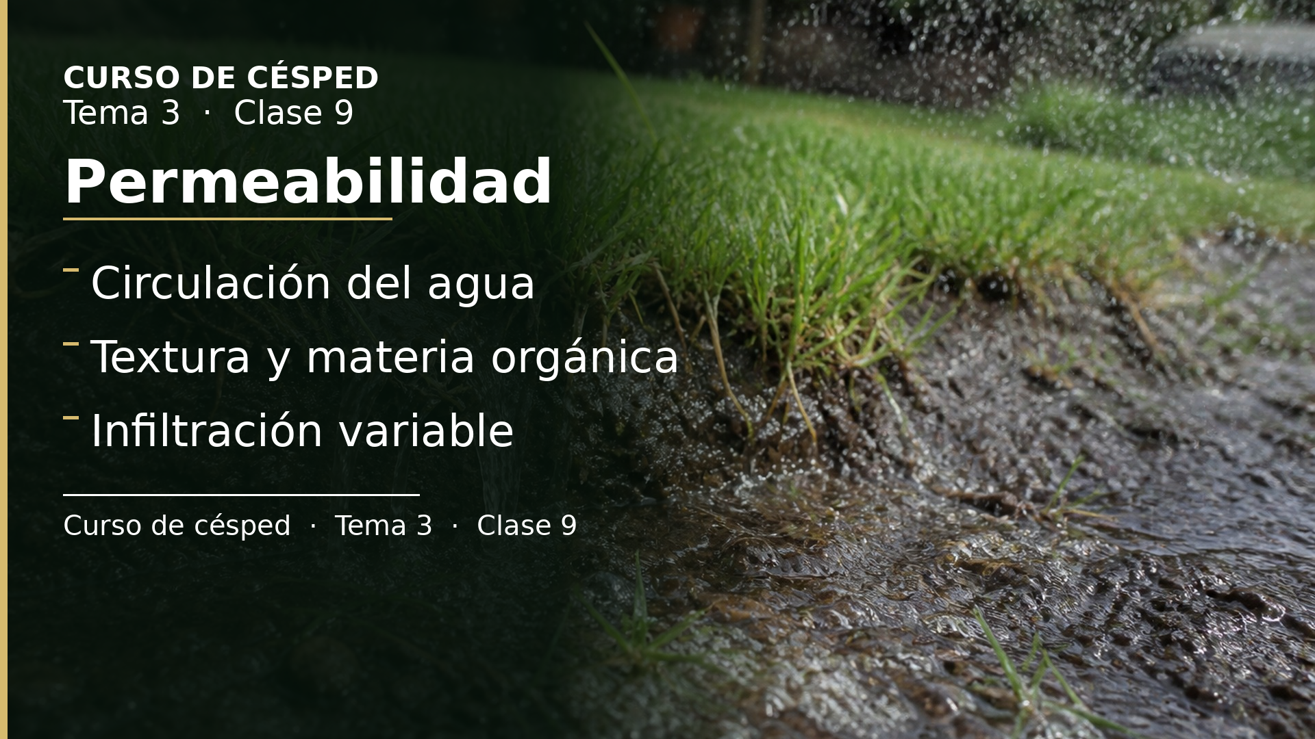 Diapositiva de la clase 9: Permeabilidad