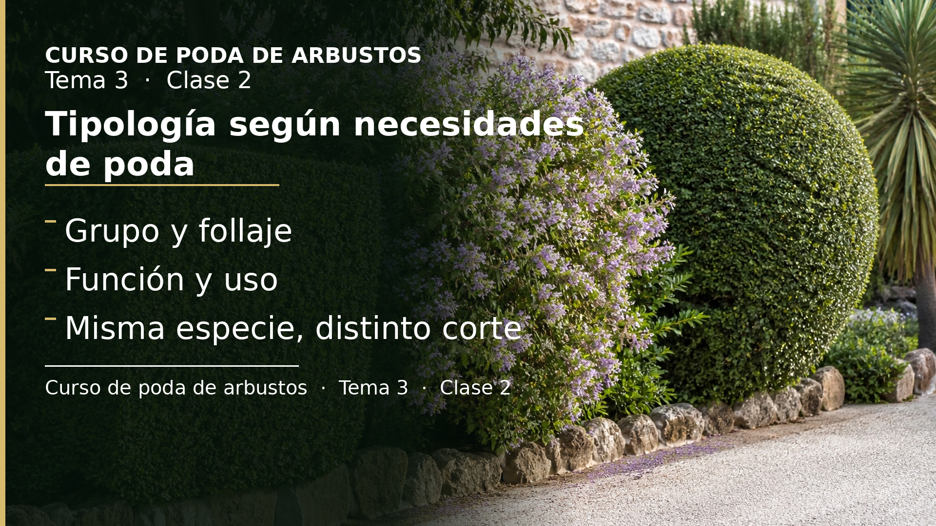 Diapositiva de la clase 2: Tipología según necesidades de poda