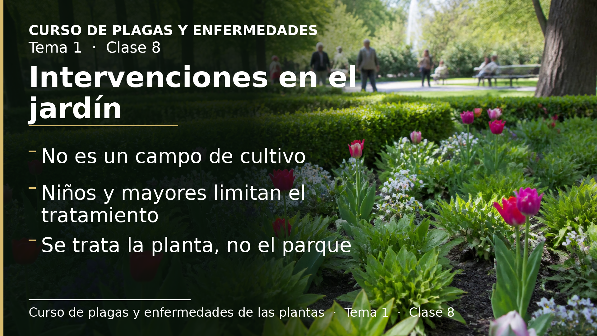 Diapositiva de la clase 8: Intervenciones en el jardín