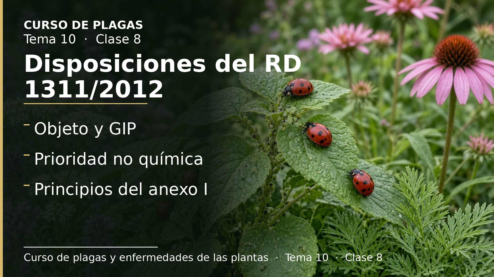 Diapositiva de la clase 8: Disposiciones del RD 1311/2012