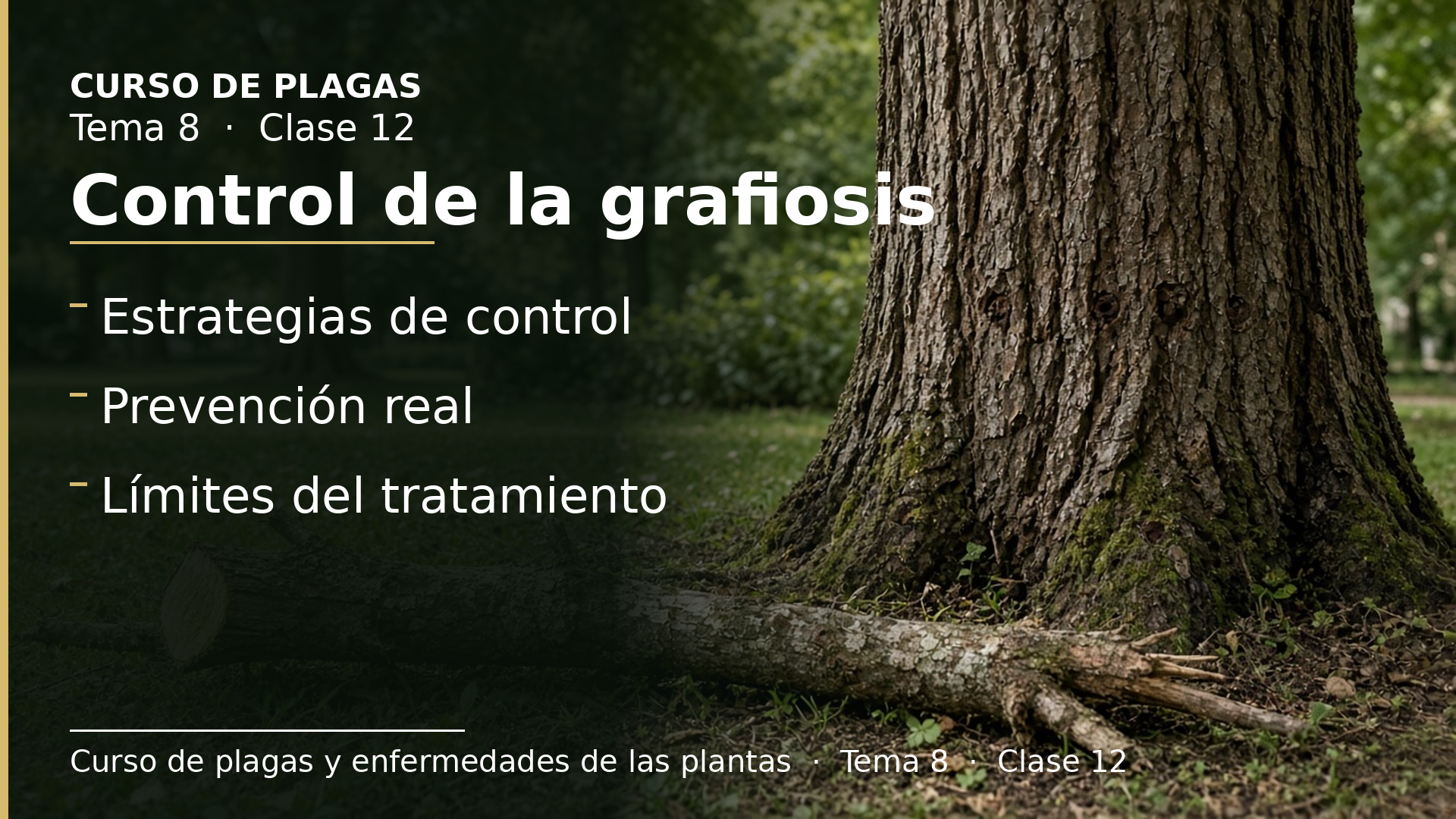Diapositiva de la clase 12: Control de la grafiosis