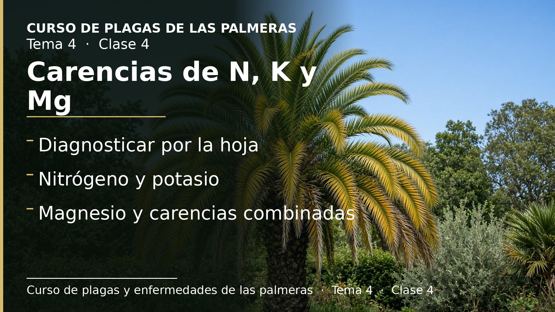 Diapositiva de la clase 4: Carencias (I): nitrógeno, potasio y magnesio