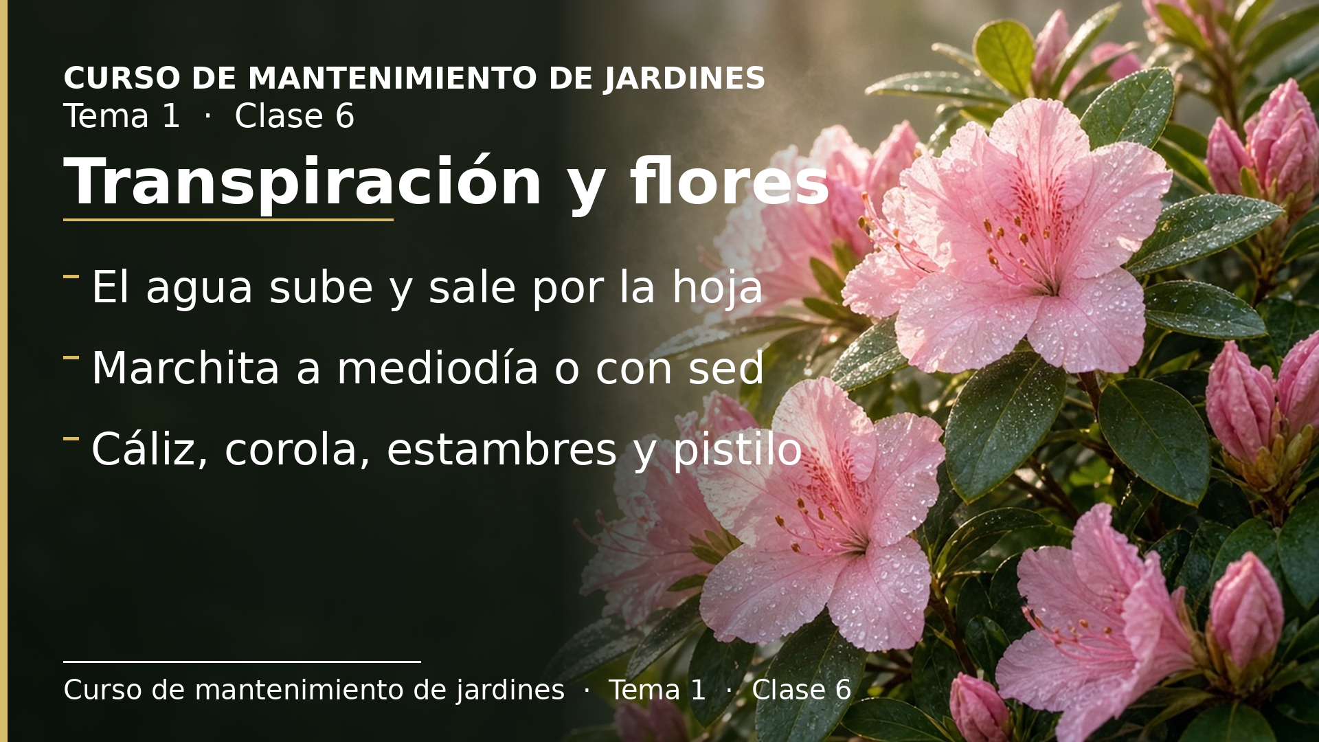 Diapositiva de la clase 6: La transpiración y las flores