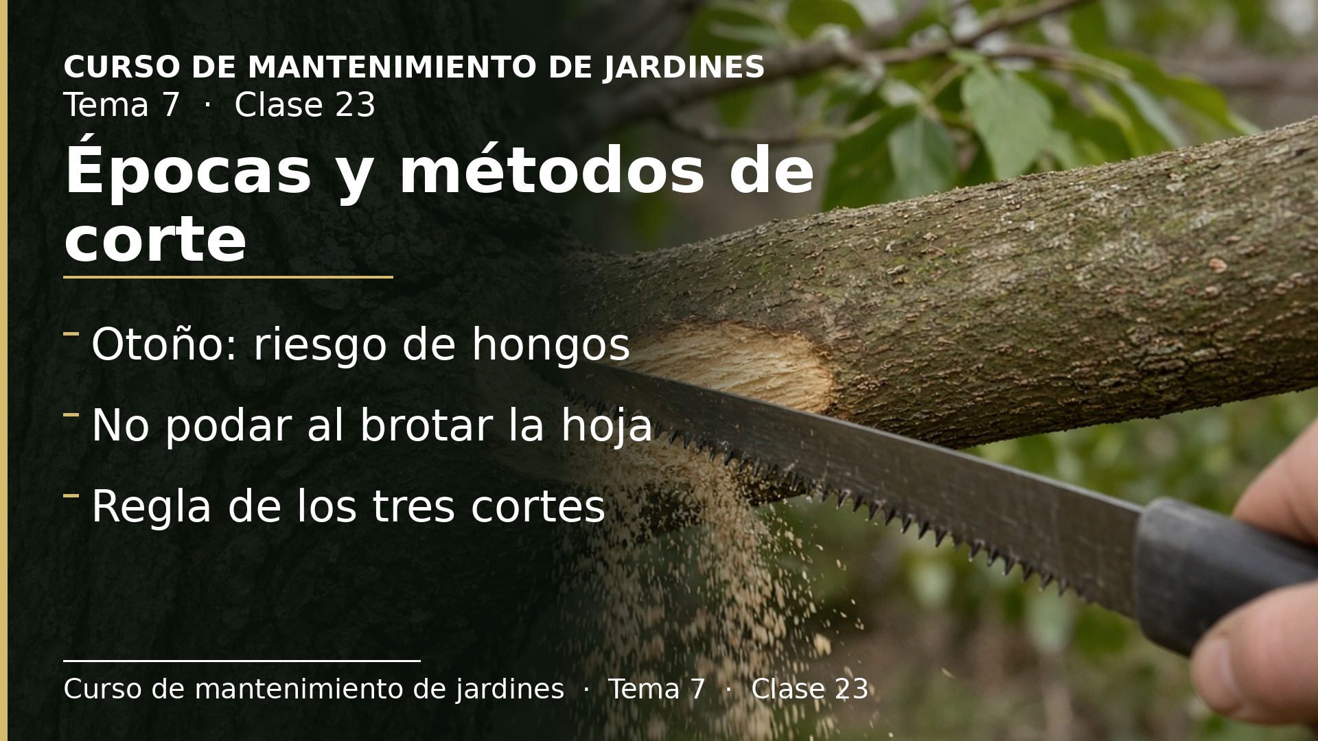 Diapositiva de la clase 23: Épocas y métodos de corte