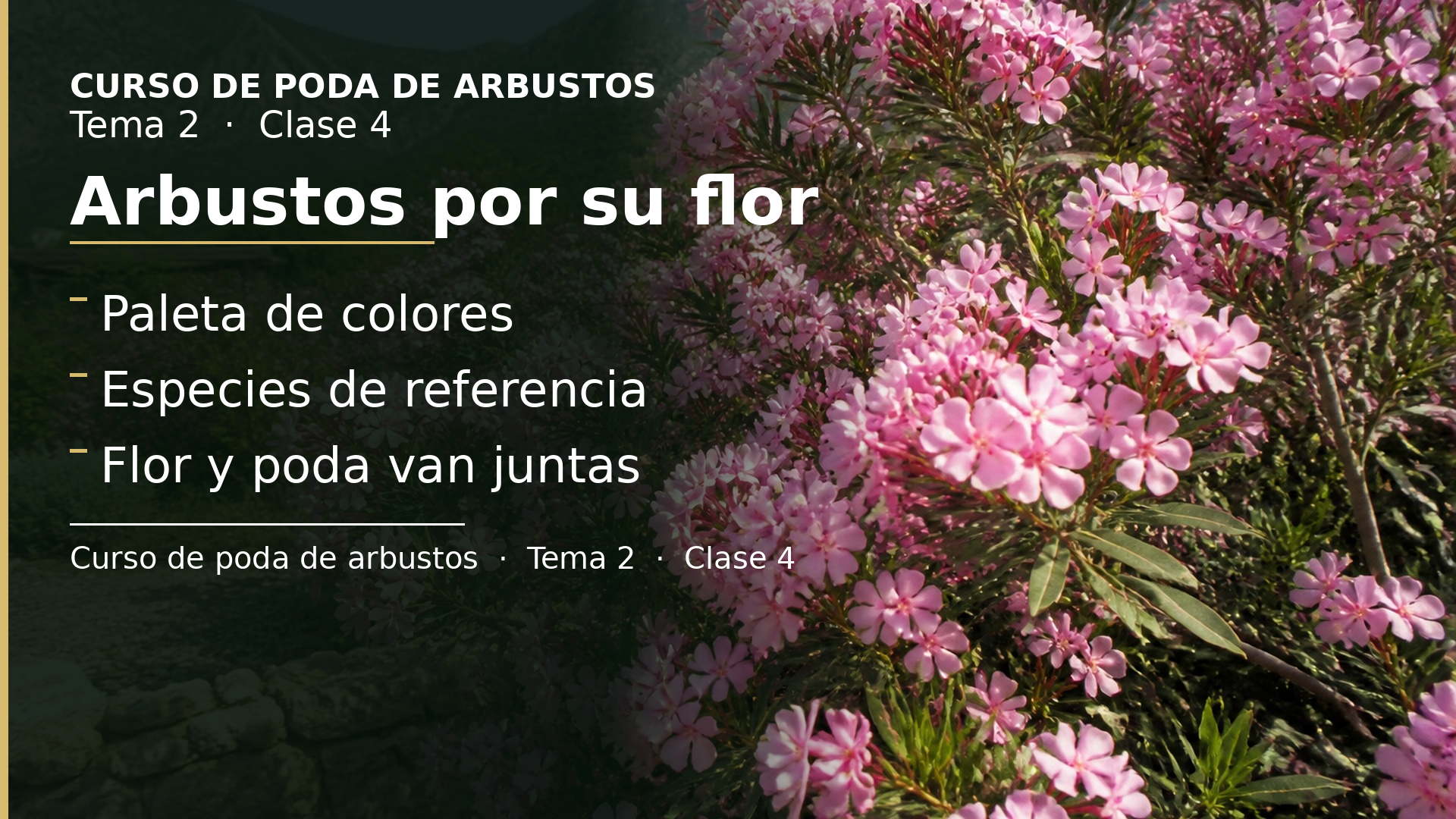 Diapositiva de la clase 4: Arbustos por su flor