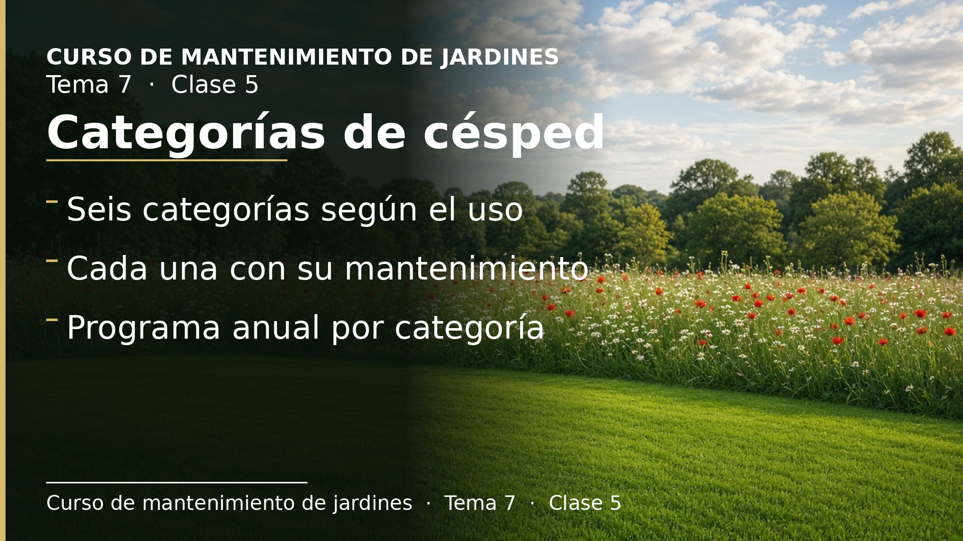 Diapositiva de la clase 5: Categorías y programa de mantenimiento del césped