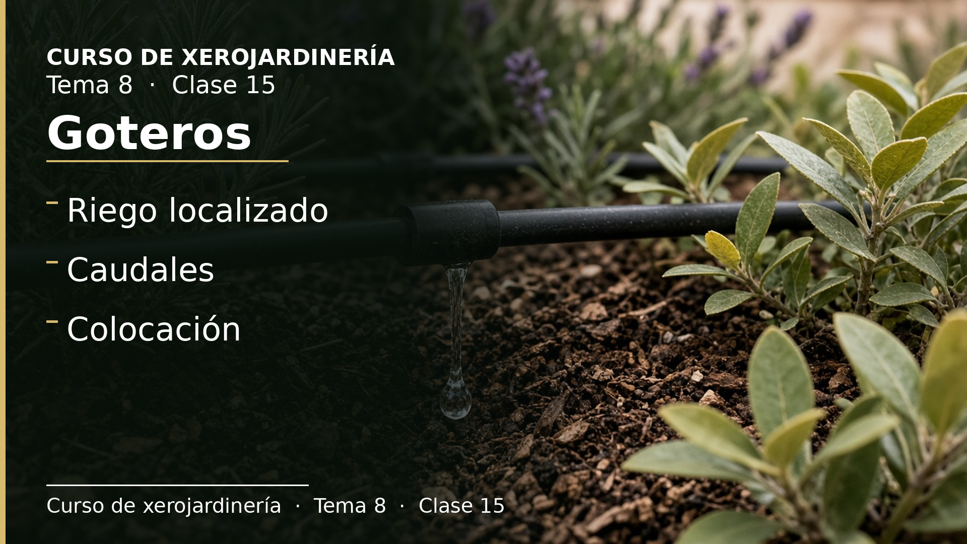 Diapositiva de la clase 15: Goteros