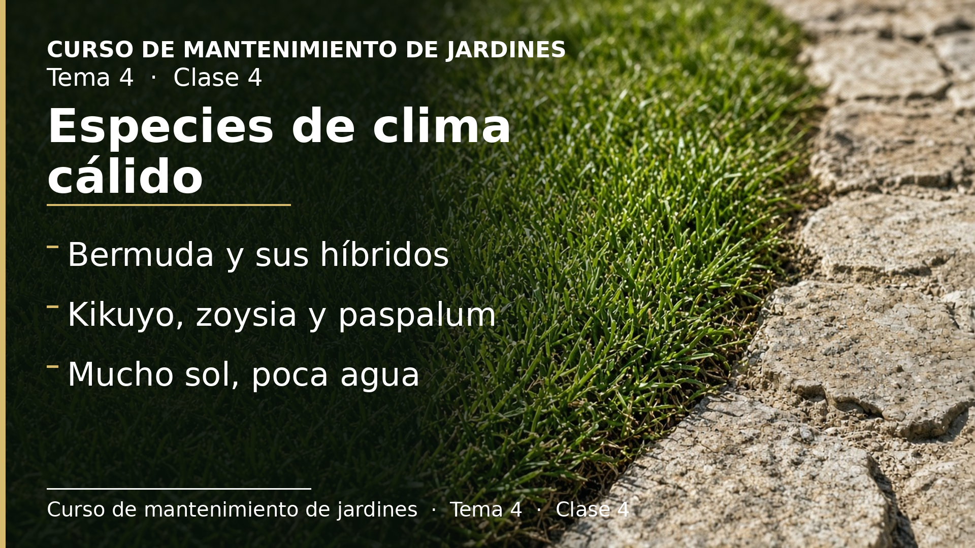 Diapositiva de la clase 4: Especies de clima cálido