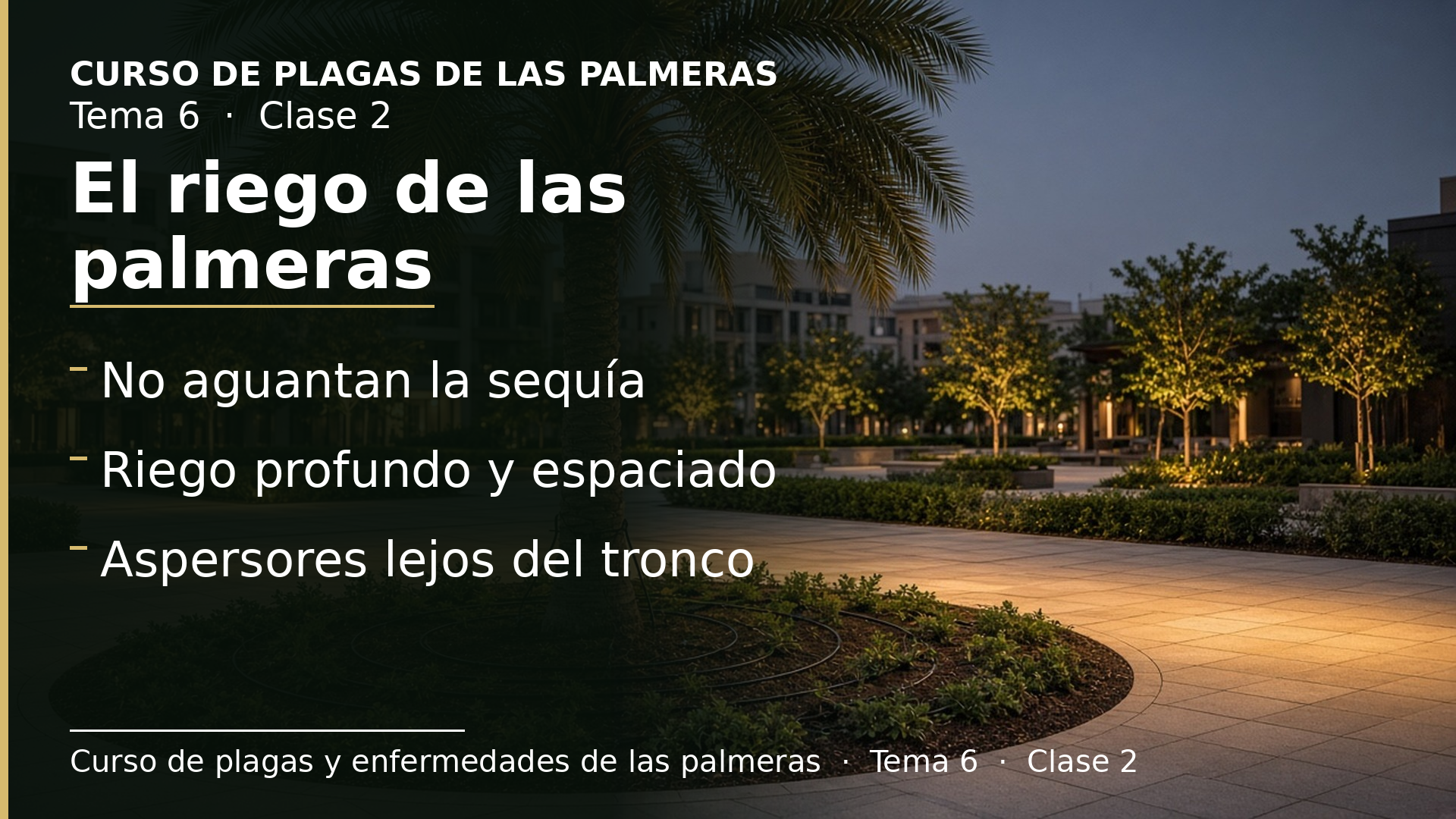 Diapositiva de la clase 2: El riego de las palmeras