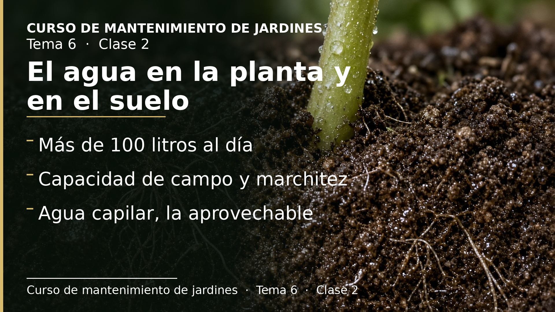 Diapositiva de la clase 2: El agua en la planta y en el suelo