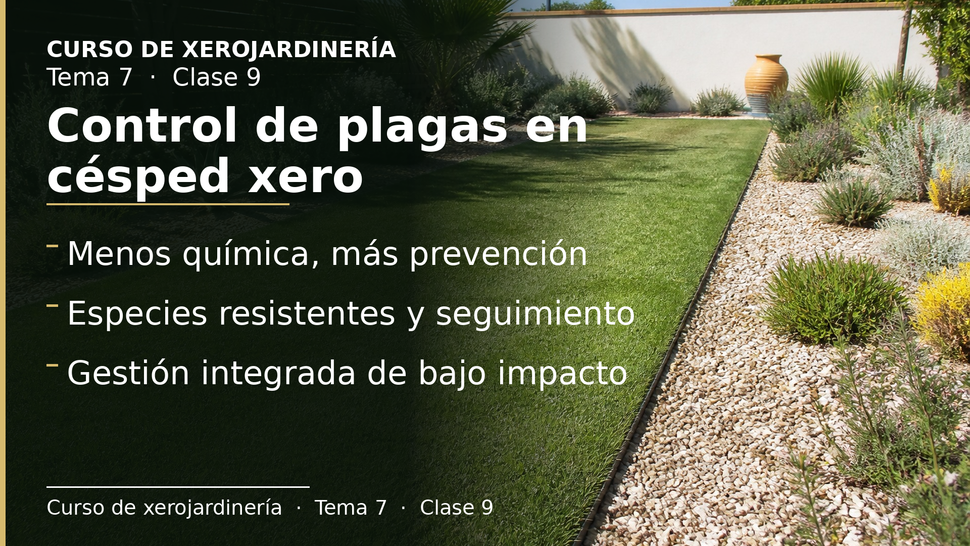 Diapositiva de la clase 9: Control de plagas en césped xero
