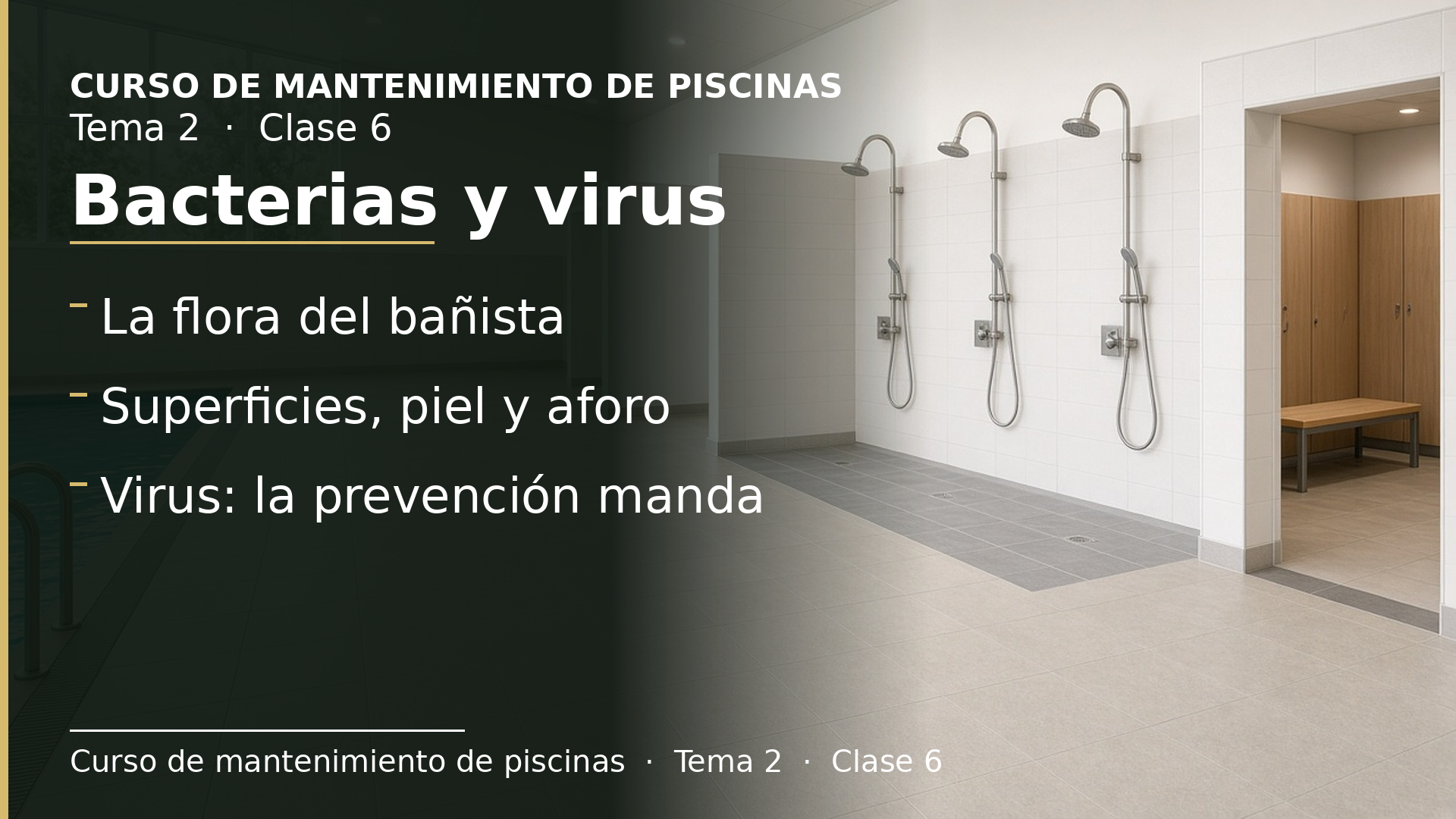 Diapositiva de la clase 6: Bacterias y virus: los contaminantes que trae el baño