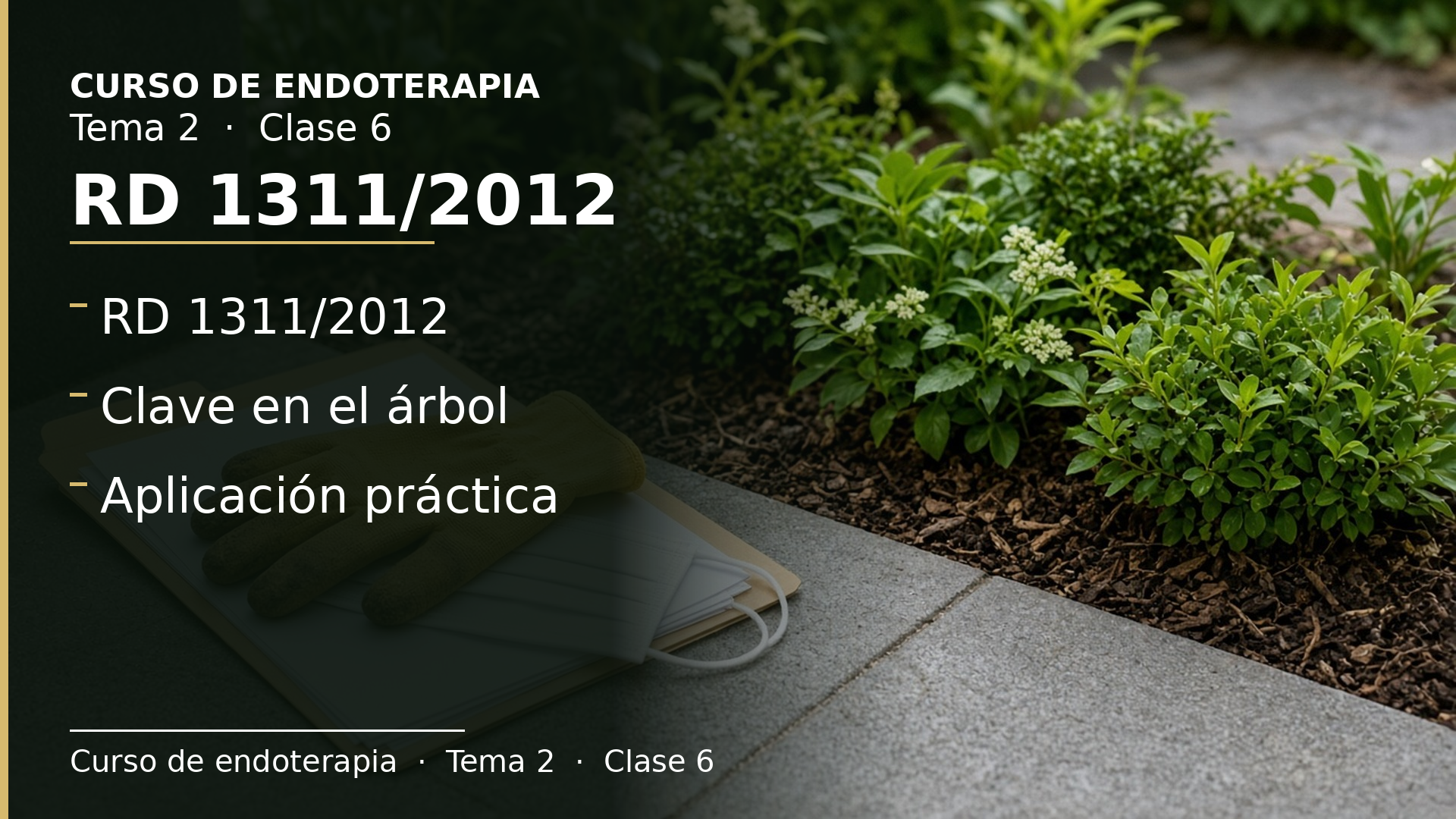 Diapositiva de la clase 6: RD 1311/2012