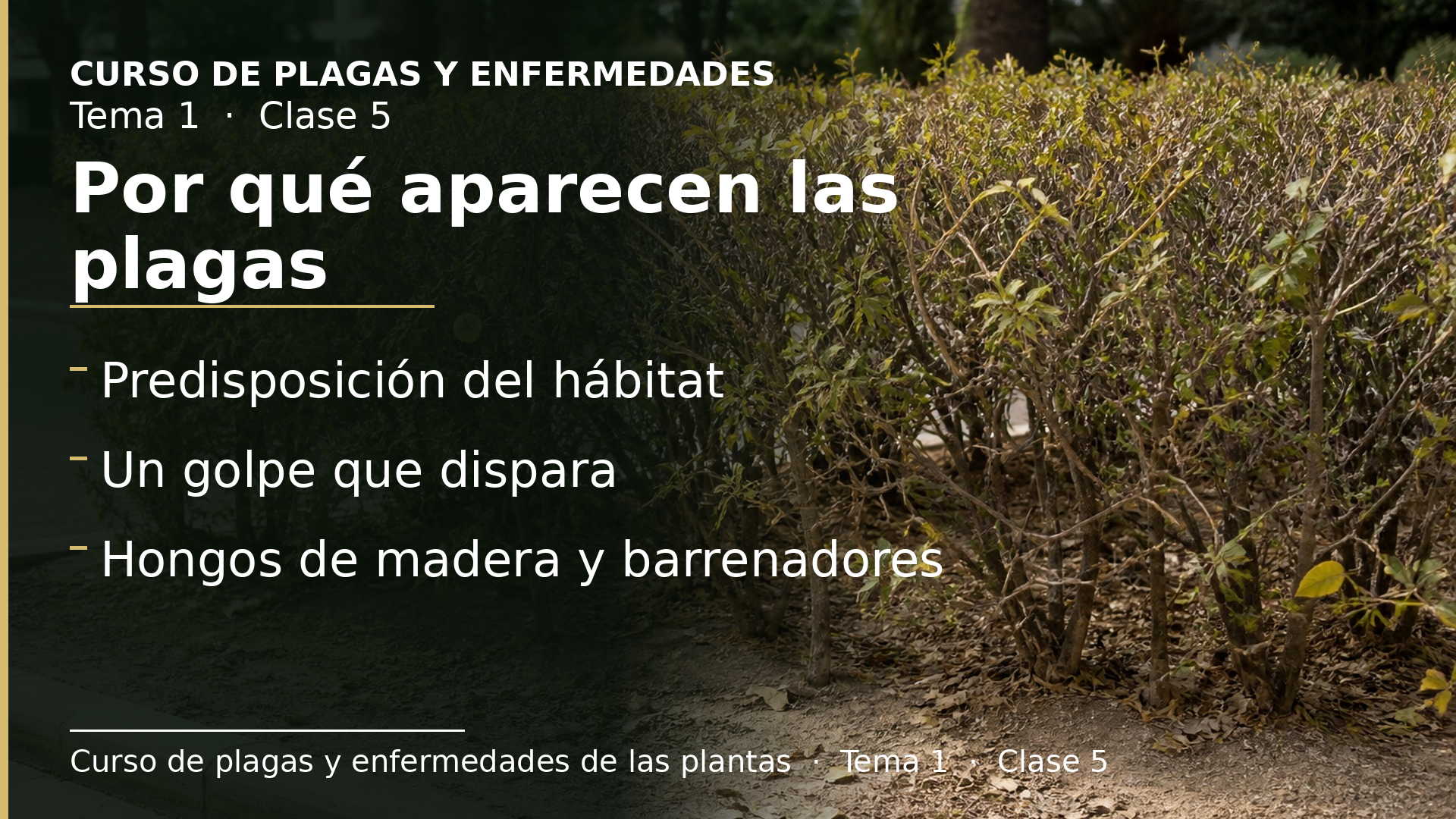 Diapositiva de la clase 5: Por qué aparecen las plagas en el jardín