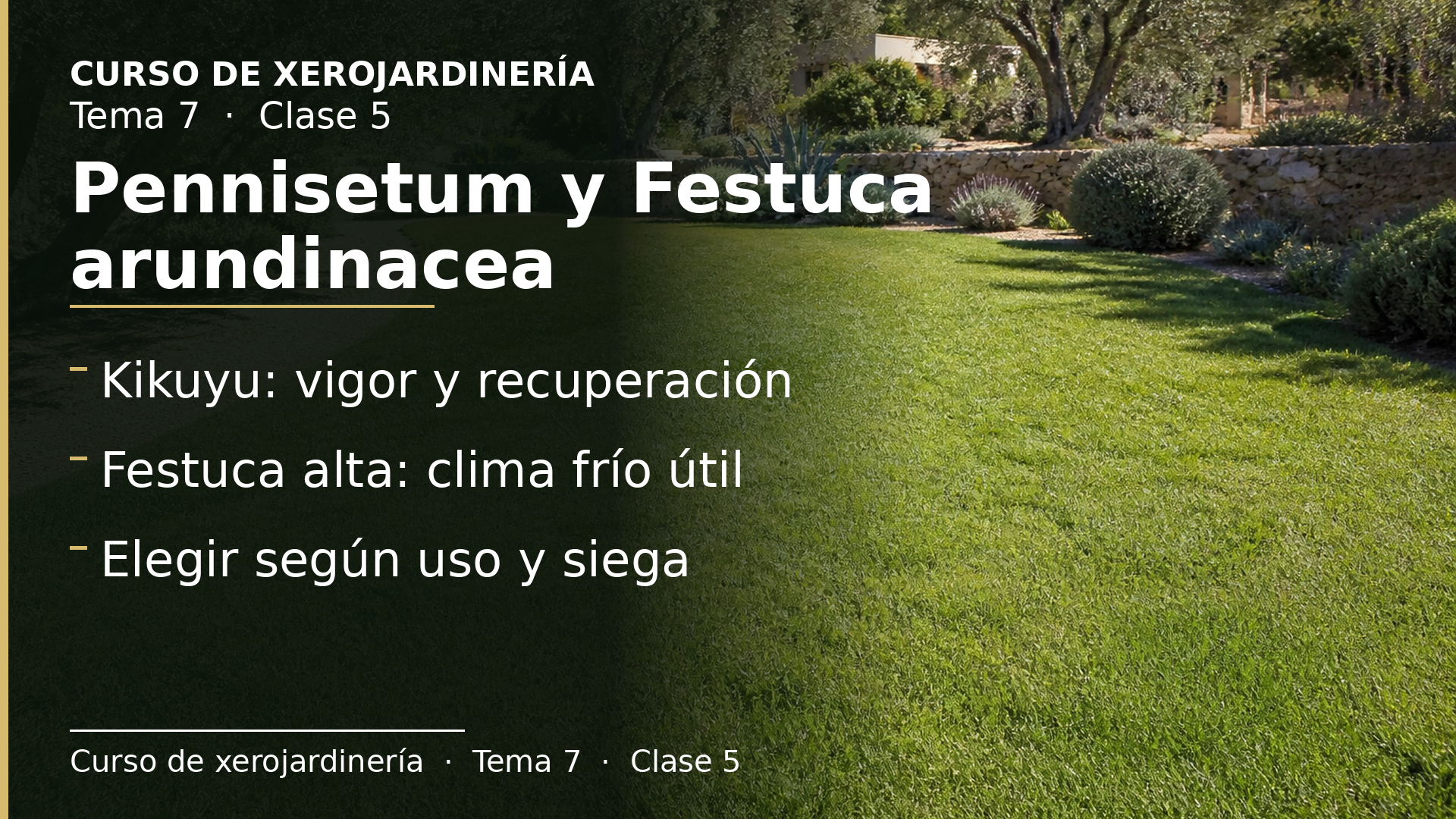 Diapositiva de la clase 5: Pennisetum y Festuca arundinacea