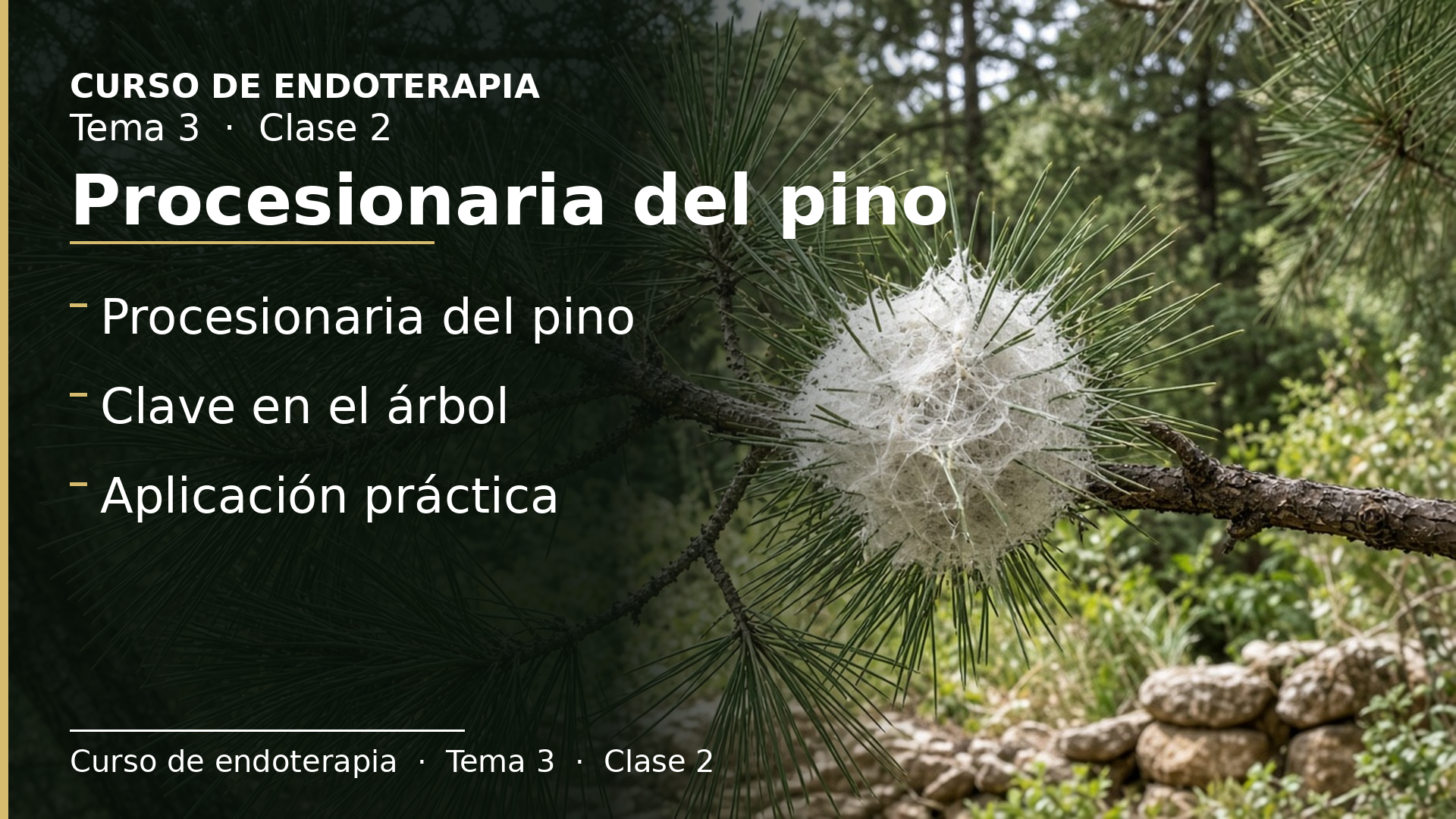 Diapositiva de la clase 2: Procesionaria del pino