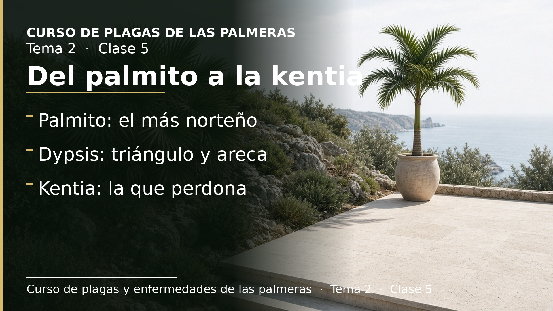 Diapositiva de la clase 5: Del palmito a la kentia: Chamaerops, Coccothrinax, Dypsis y Howea