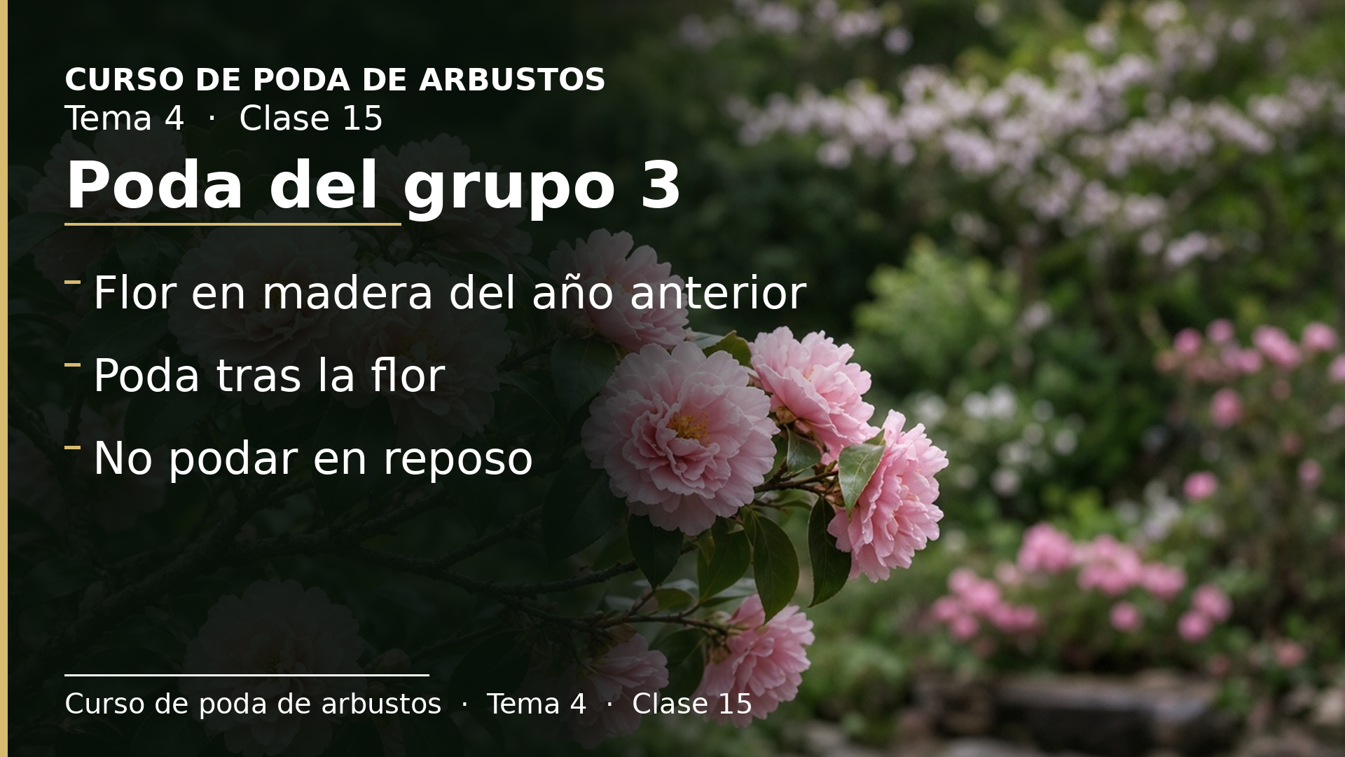 Diapositiva de la clase 15: Poda grupo 3