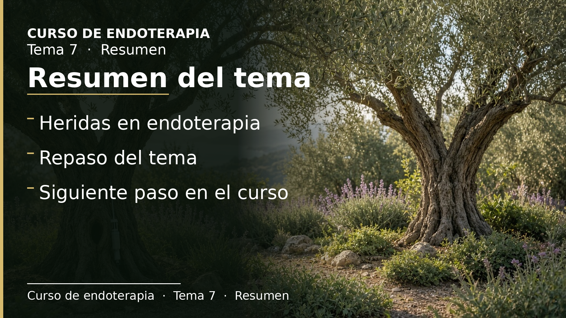 Diapositiva del resumen: Resumen del tema