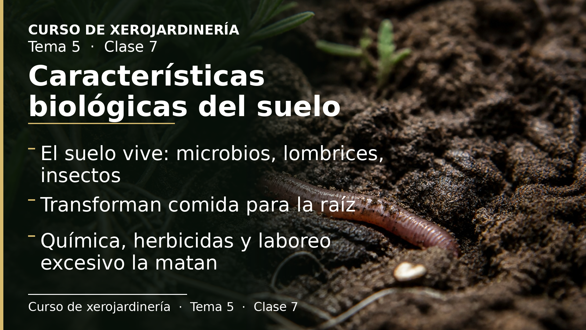 Diapositiva de la clase 7: Características biológicas