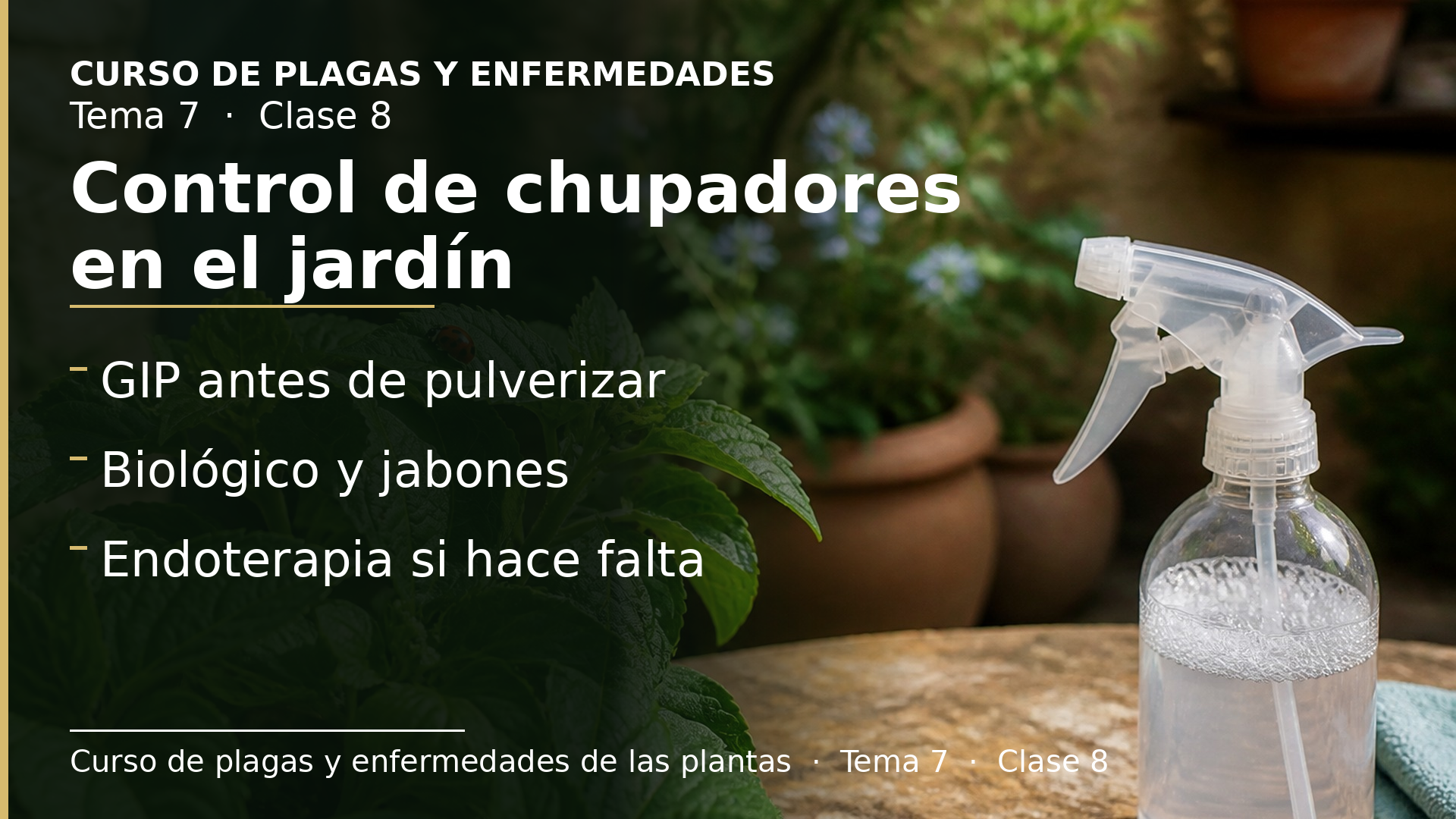 Diapositiva de la clase 8: Control de chupadores en el jardín