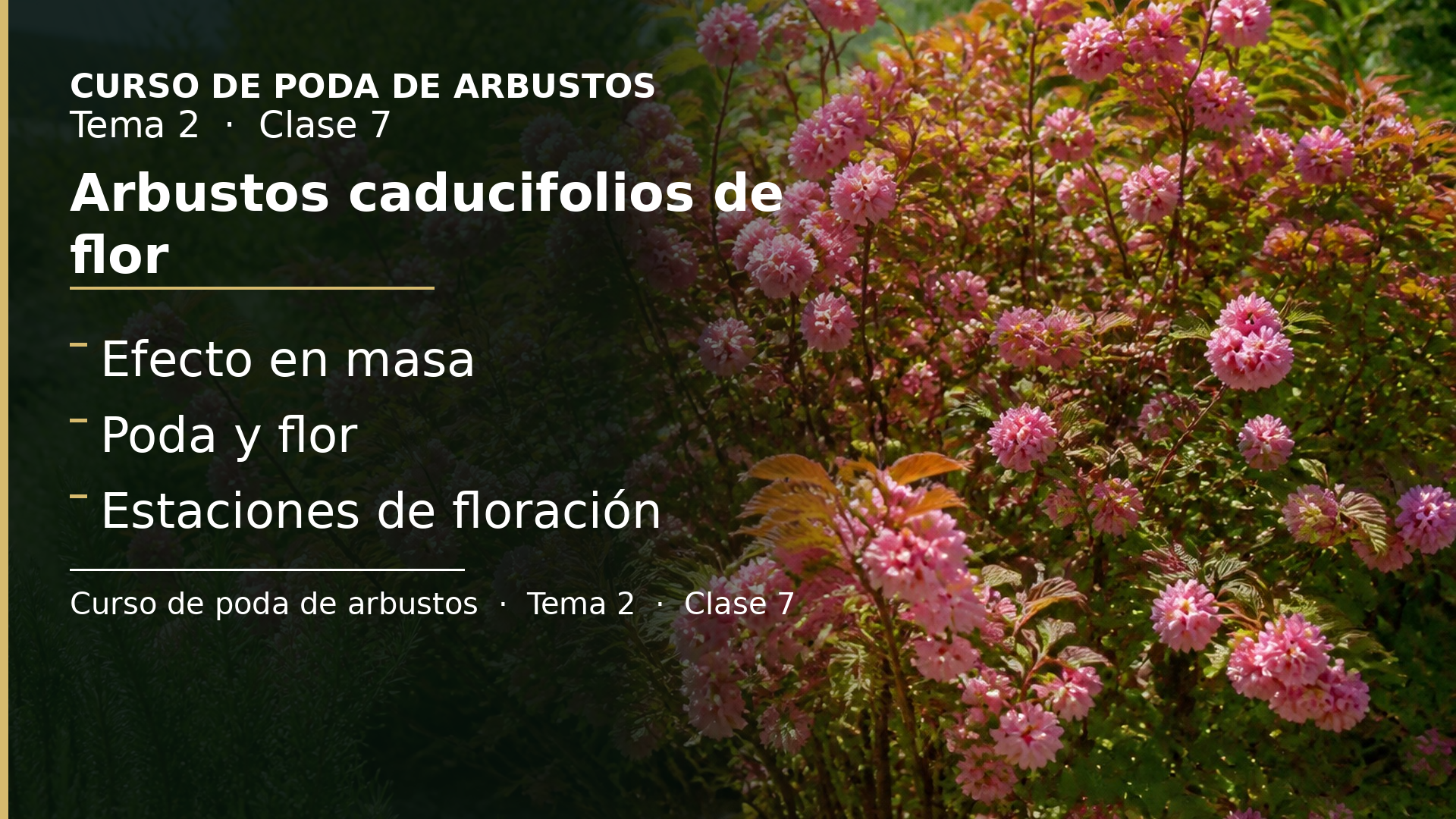 Diapositiva de la clase 7: Arbustos caducifolios de flor