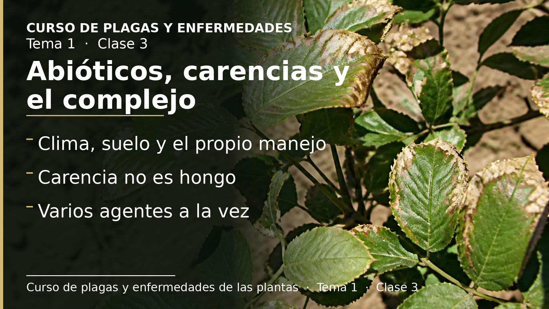 Diapositiva de la clase 3: Agentes abióticos, carencias y complejo parasitario