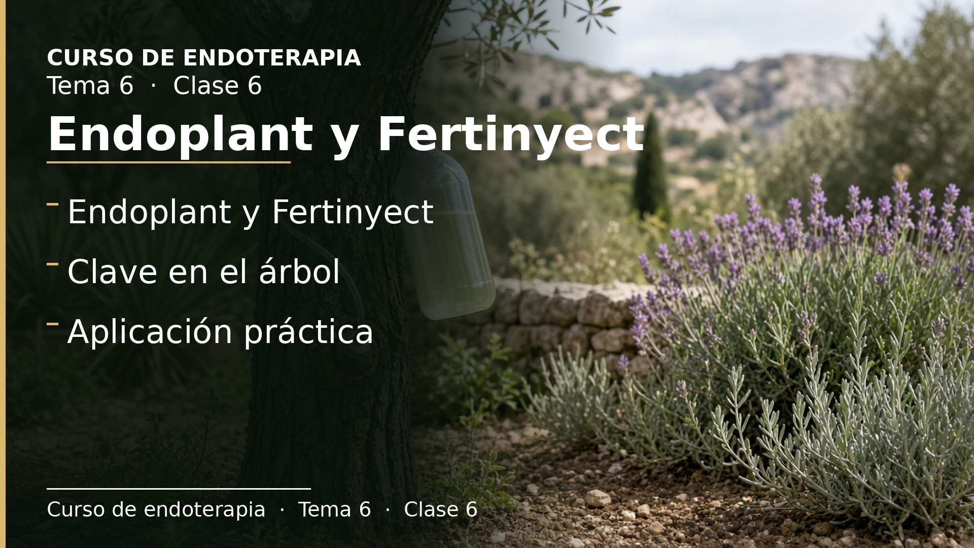 Diapositiva de la clase 6: Endoplant y Fertinyect