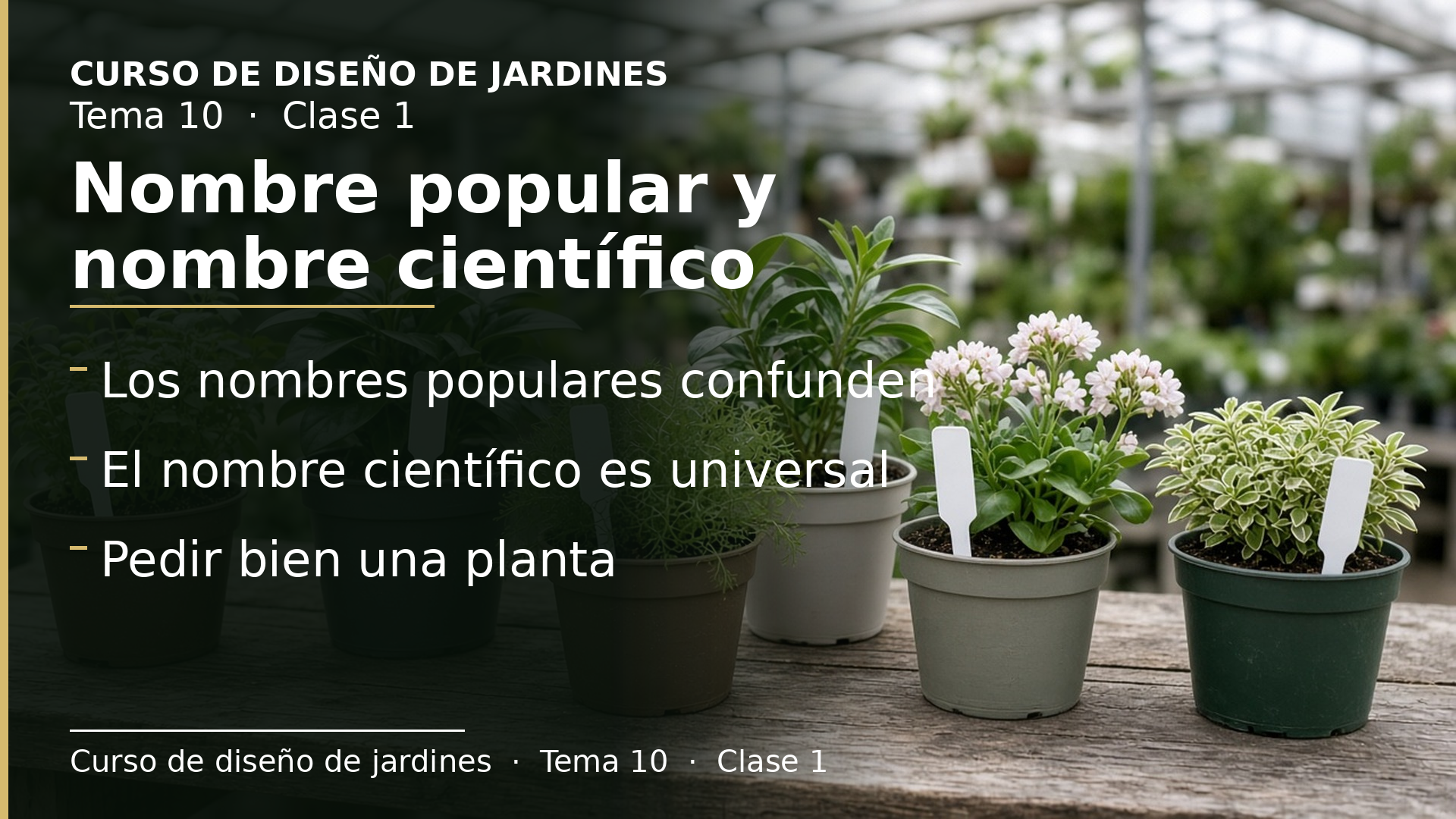 Diapositiva de la clase 1: Cómo se llaman las plantas: nombre popular y nombre científico