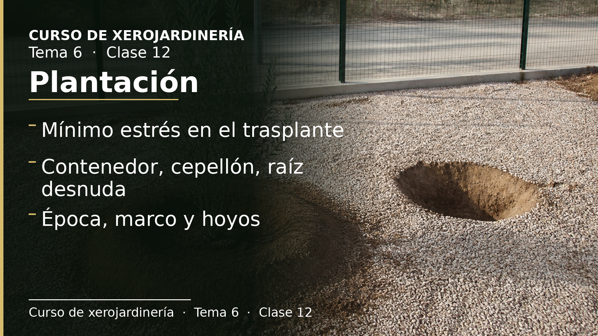 Diapositiva de la clase 12: Plantación