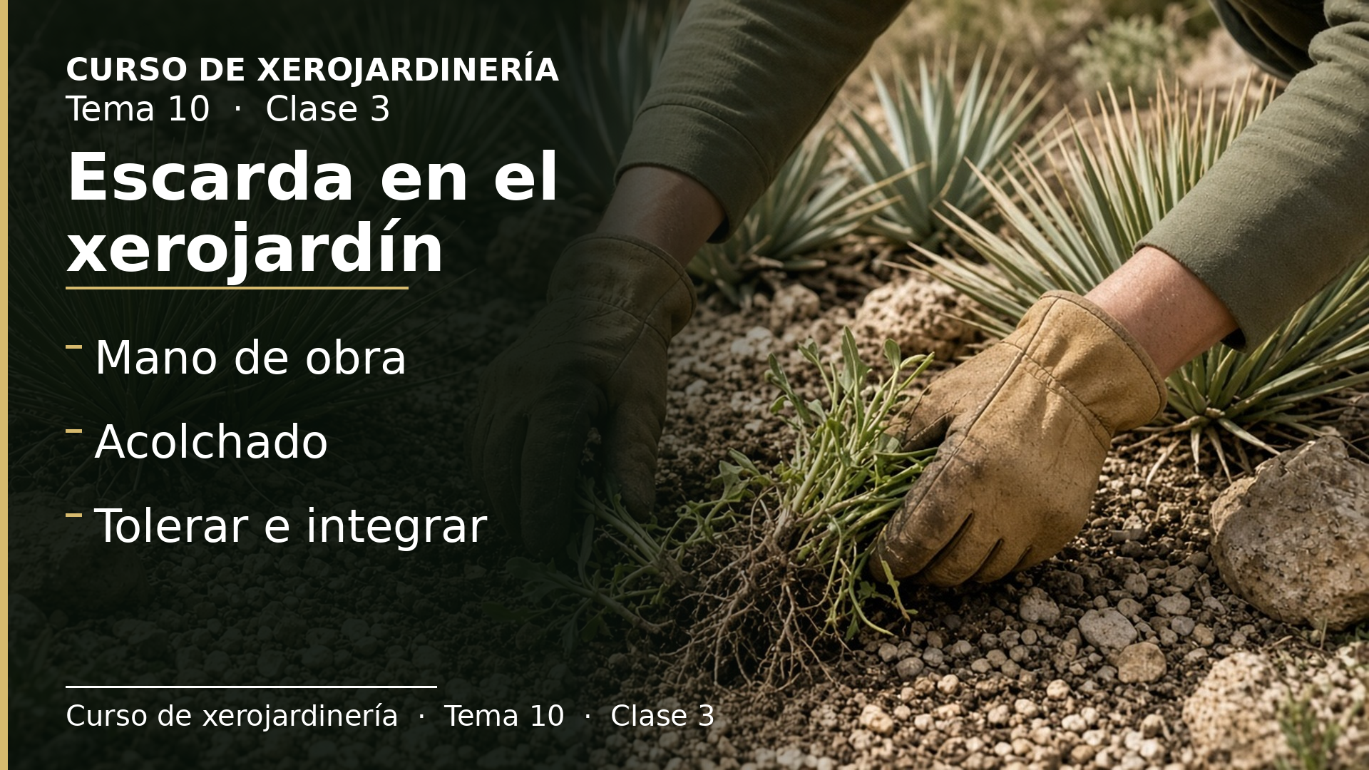 Diapositiva de la clase 3: Escarda