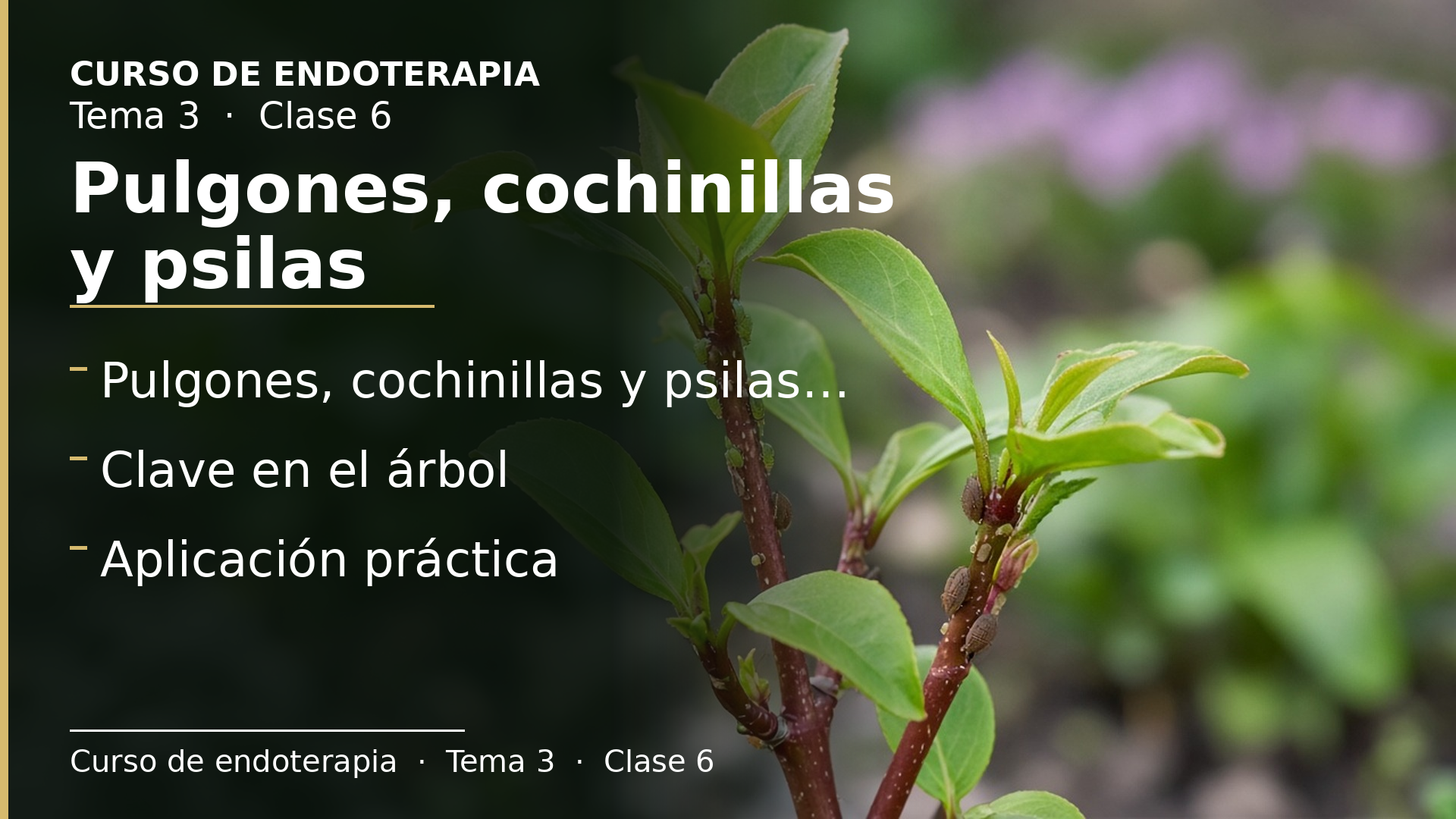 Diapositiva de la clase 6: Pulgones, cochinillas y psilas