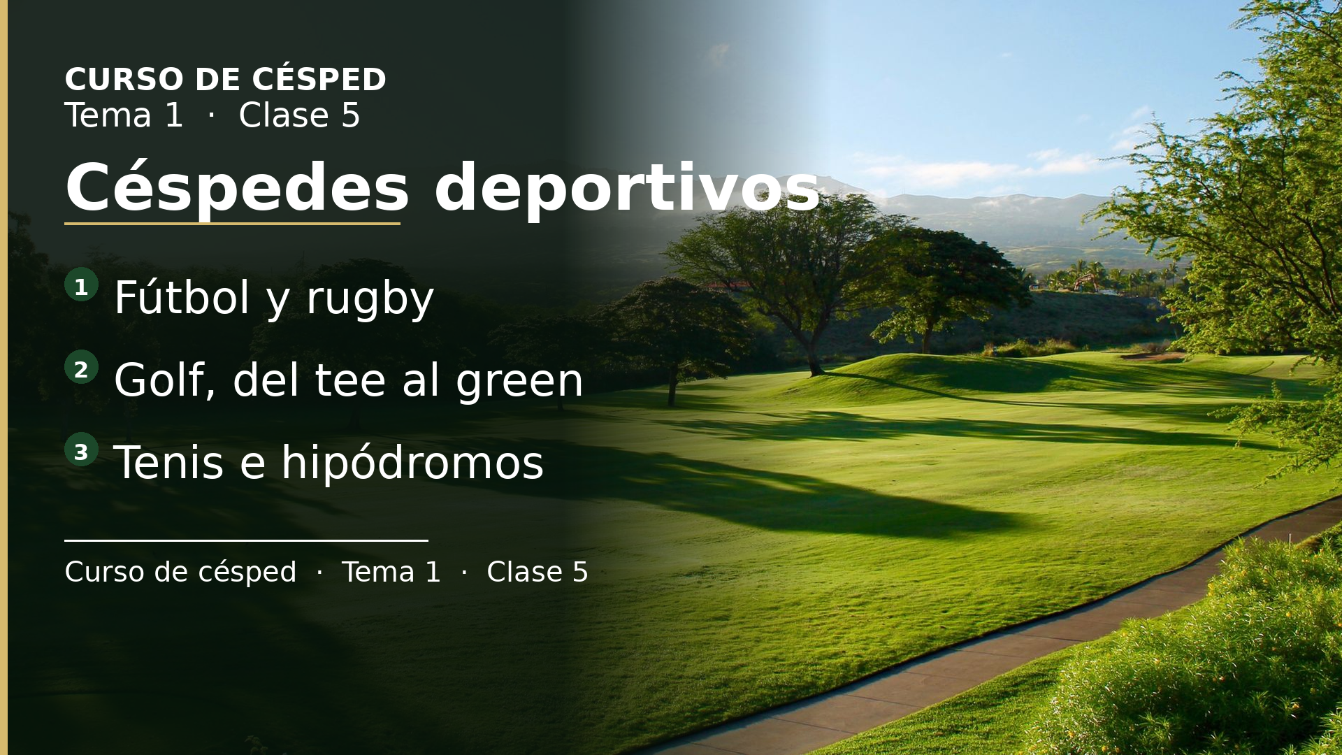 Diapositiva de la clase 5: Céspedes deportivos
