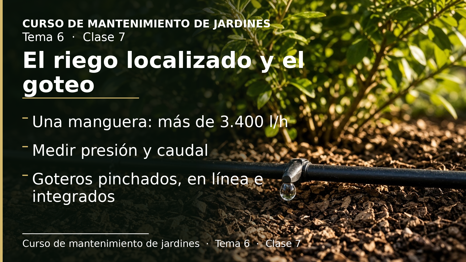 Diapositiva de la clase 7: El riego localizado y el riego por goteo