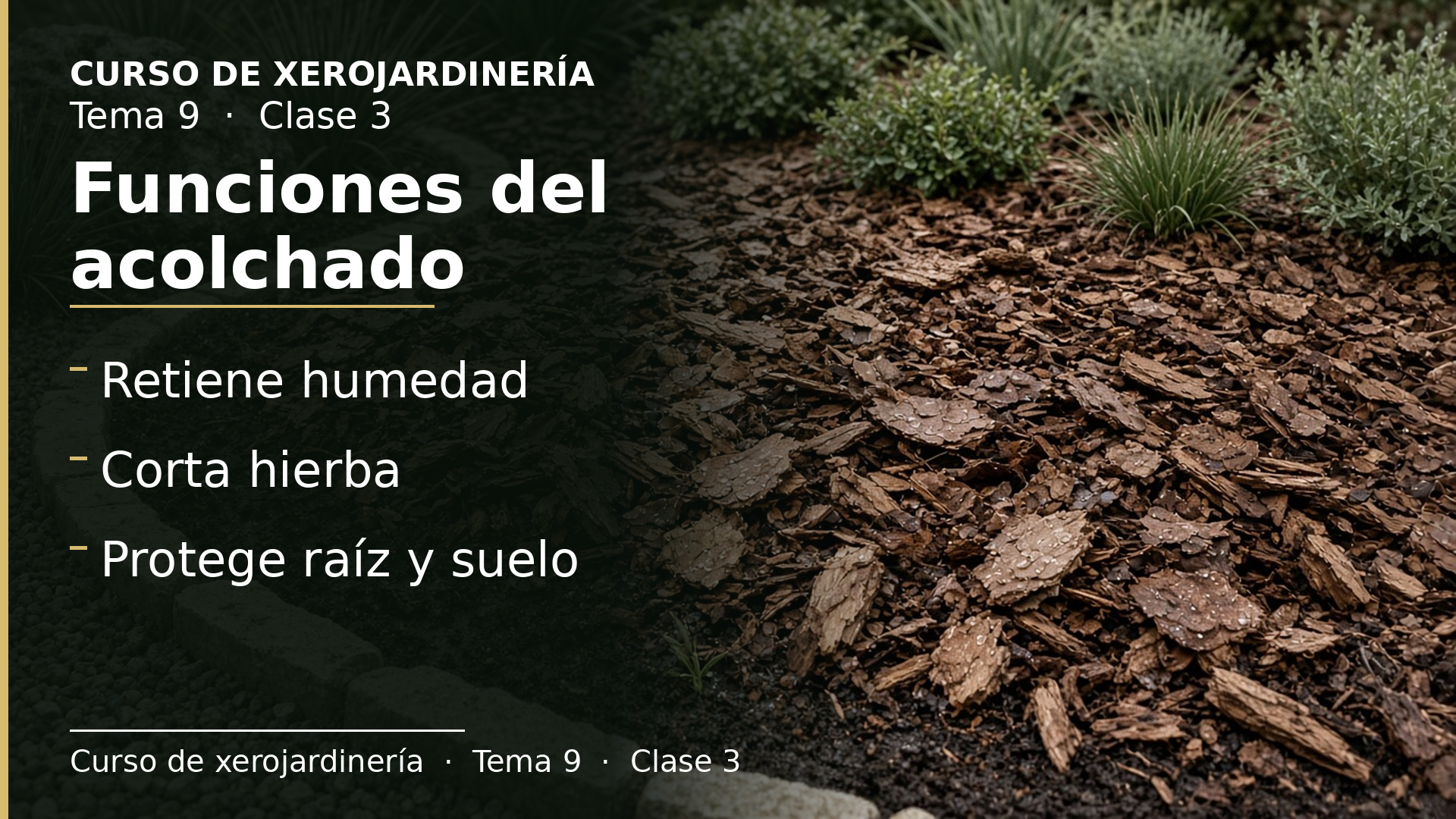 Diapositiva de la clase 3: Funciones del acolchado