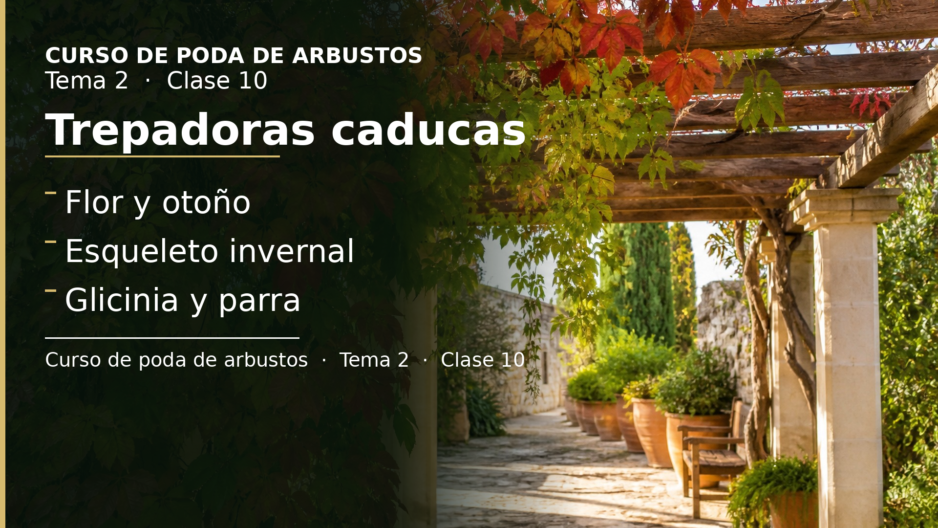 Diapositiva de la clase 10: Trepadoras caducas