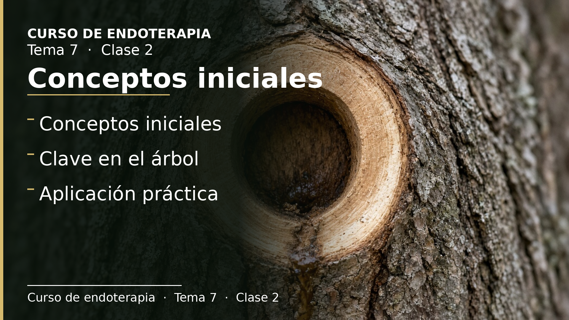 Diapositiva de la clase 2: Conceptos iniciales