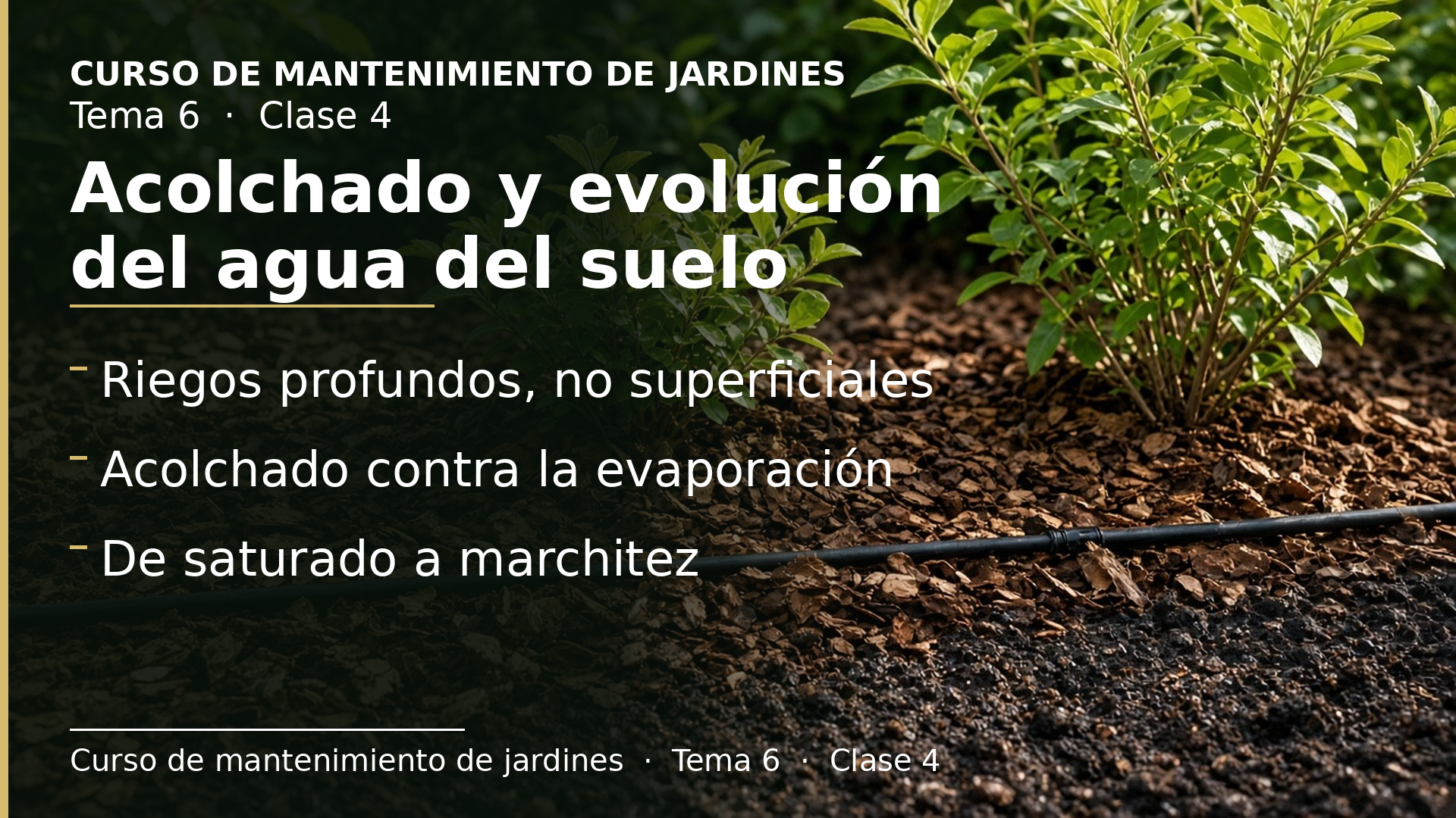 Diapositiva de la clase 4: Más buenas prácticas de riego y cómo evoluciona el agua del suelo