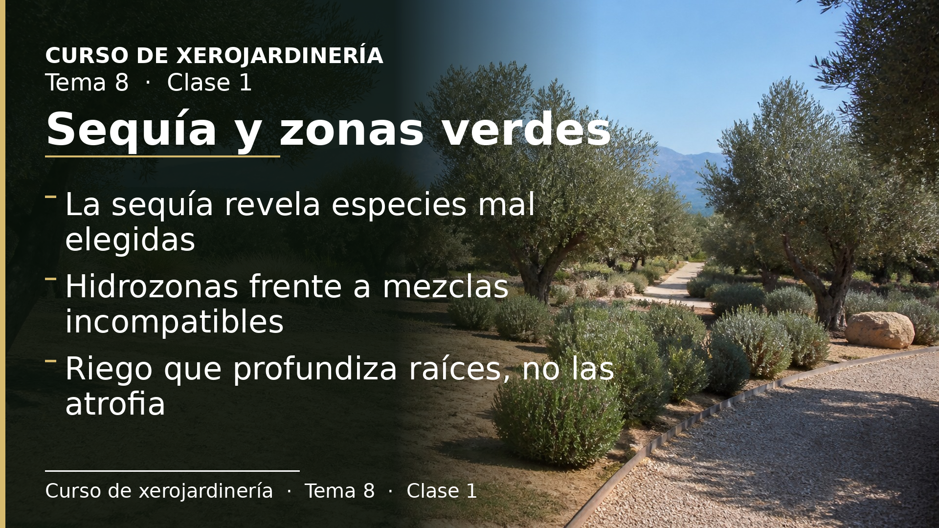 Diapositiva de la clase 1: Sequía y zonas verdes