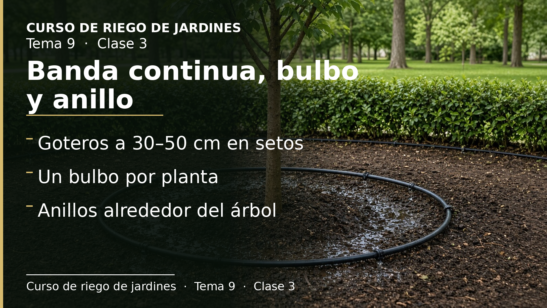 Diapositiva de la clase 3: Repartir los goteros (II): banda continua, bulbo por planta y árboles