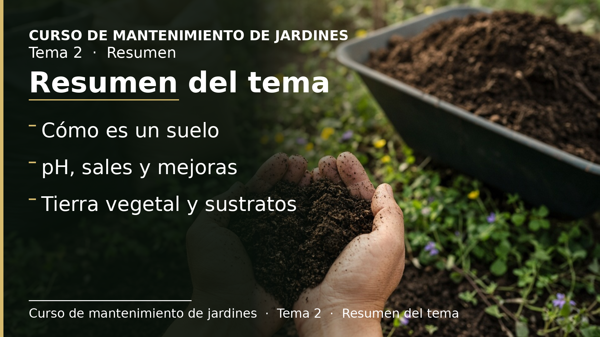 Diapositiva del resumen: Resumen del tema