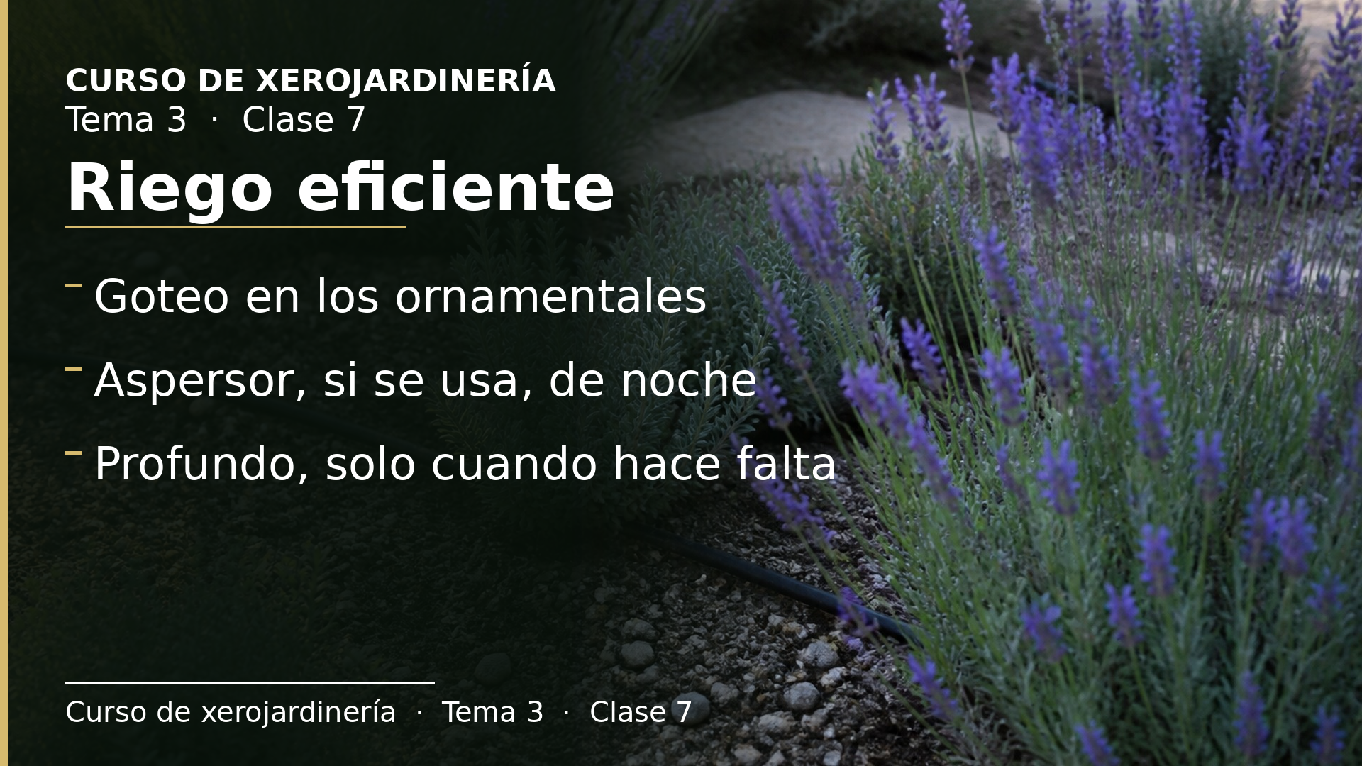 Diapositiva de la clase 7: Riego eficiente